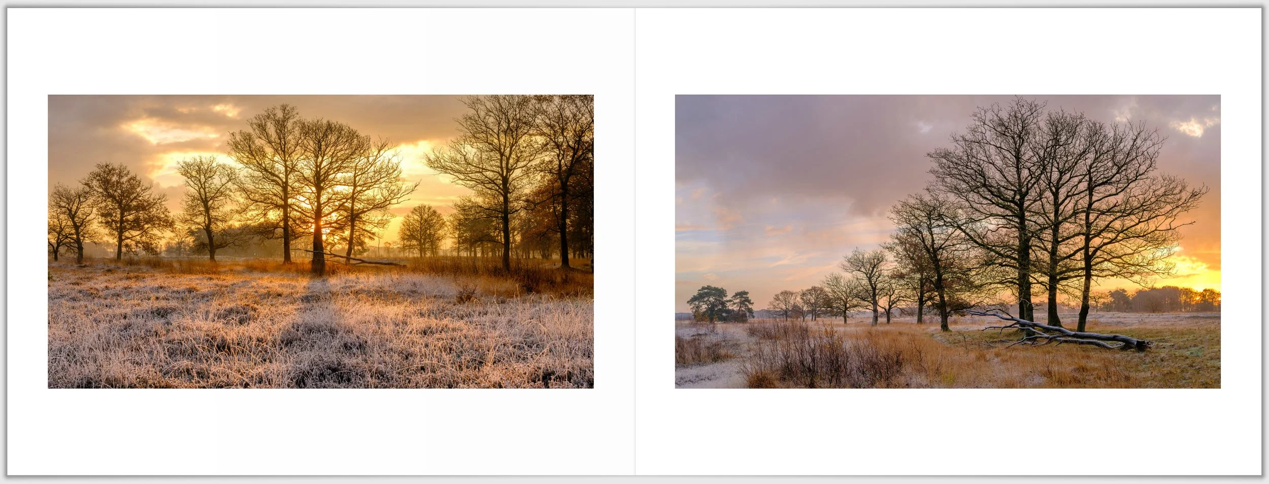 Schermafbeelding 2026-01-24 124950.jpg