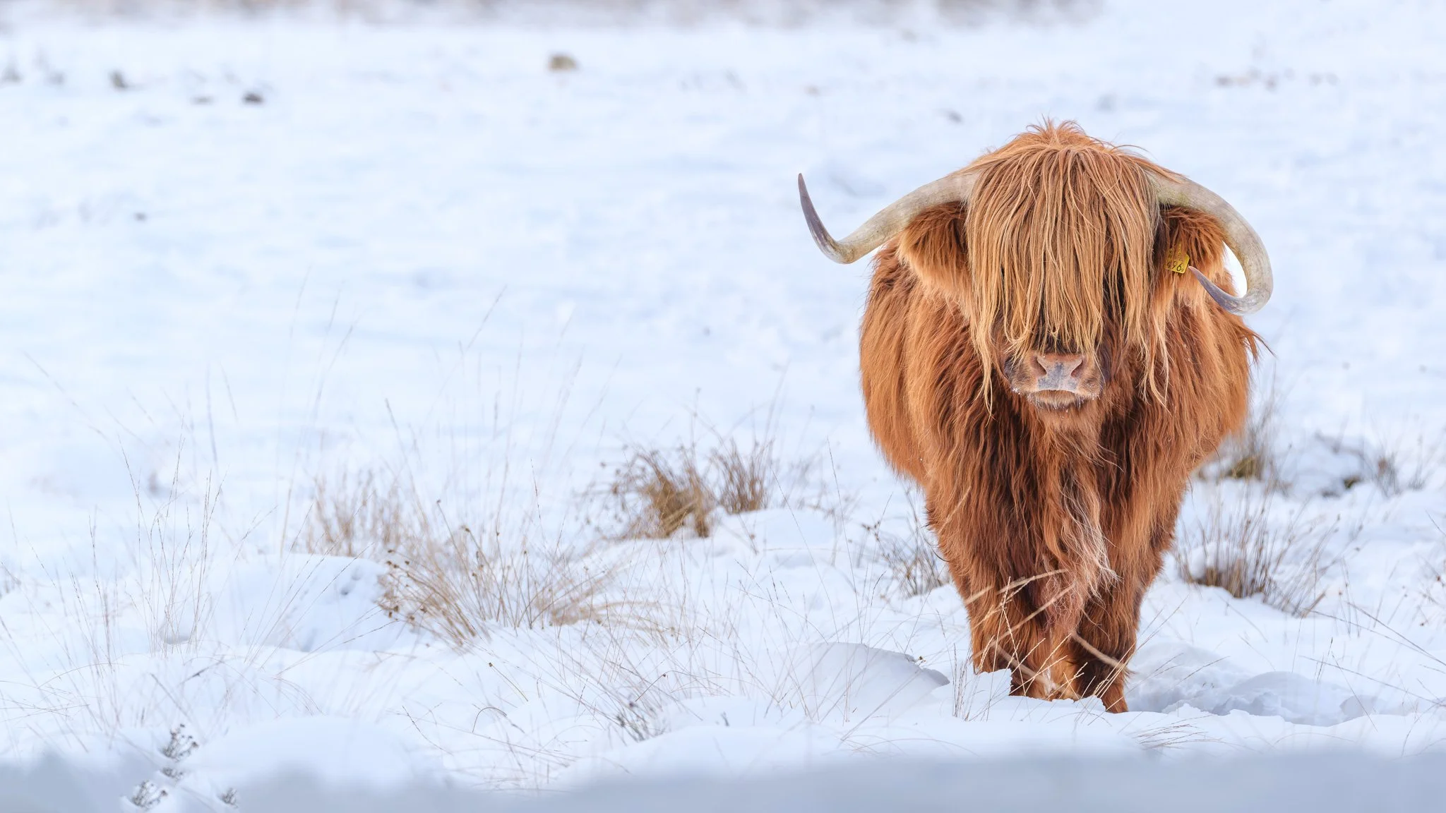 XH2O1552-DxO_DeepPRIME XD3 X-Trans-Pano.jpg