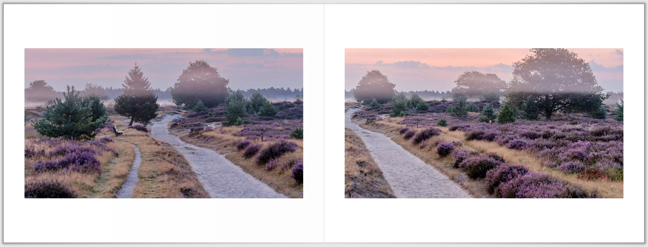 Schermafbeelding 2026-01-24 124845.jpg