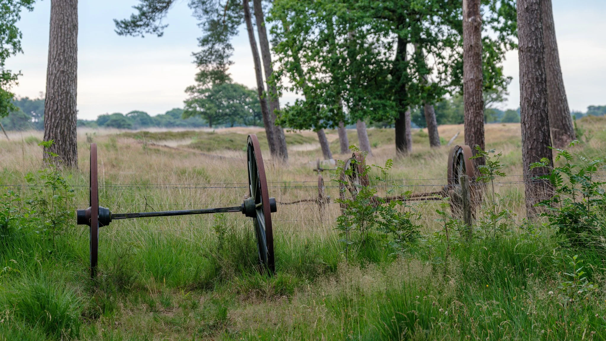 XT5X3587-DxO_DeepPRIME XD2s_XD.jpg