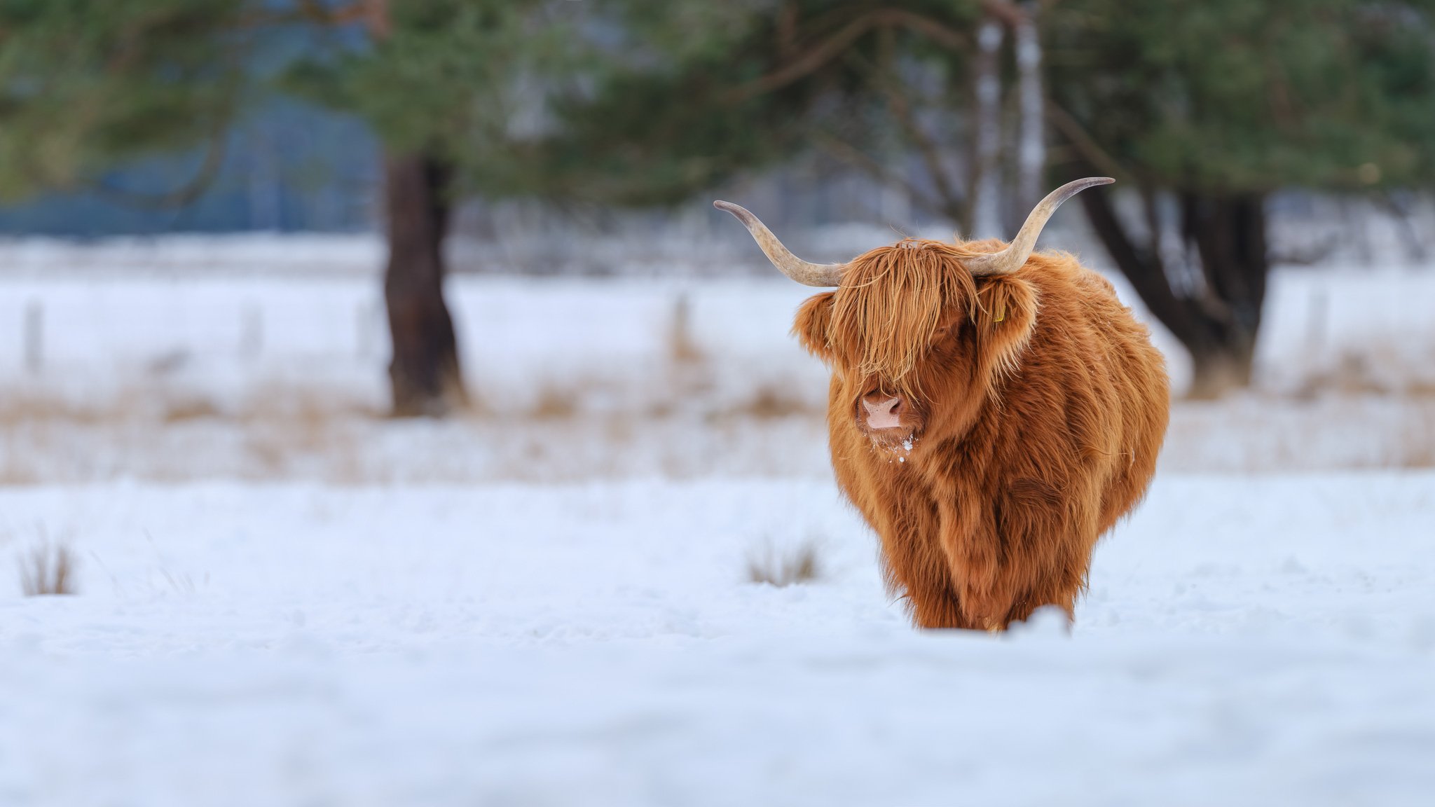 XH2O1364-DxO_DeepPRIME XD3 X-Trans-Pano-2.jpg