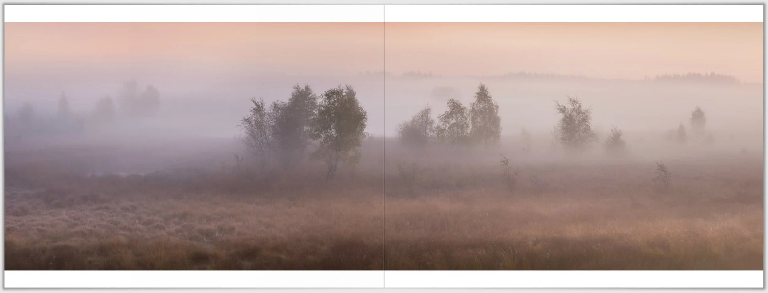 Schermafbeelding 2026-01-24 124336.jpg