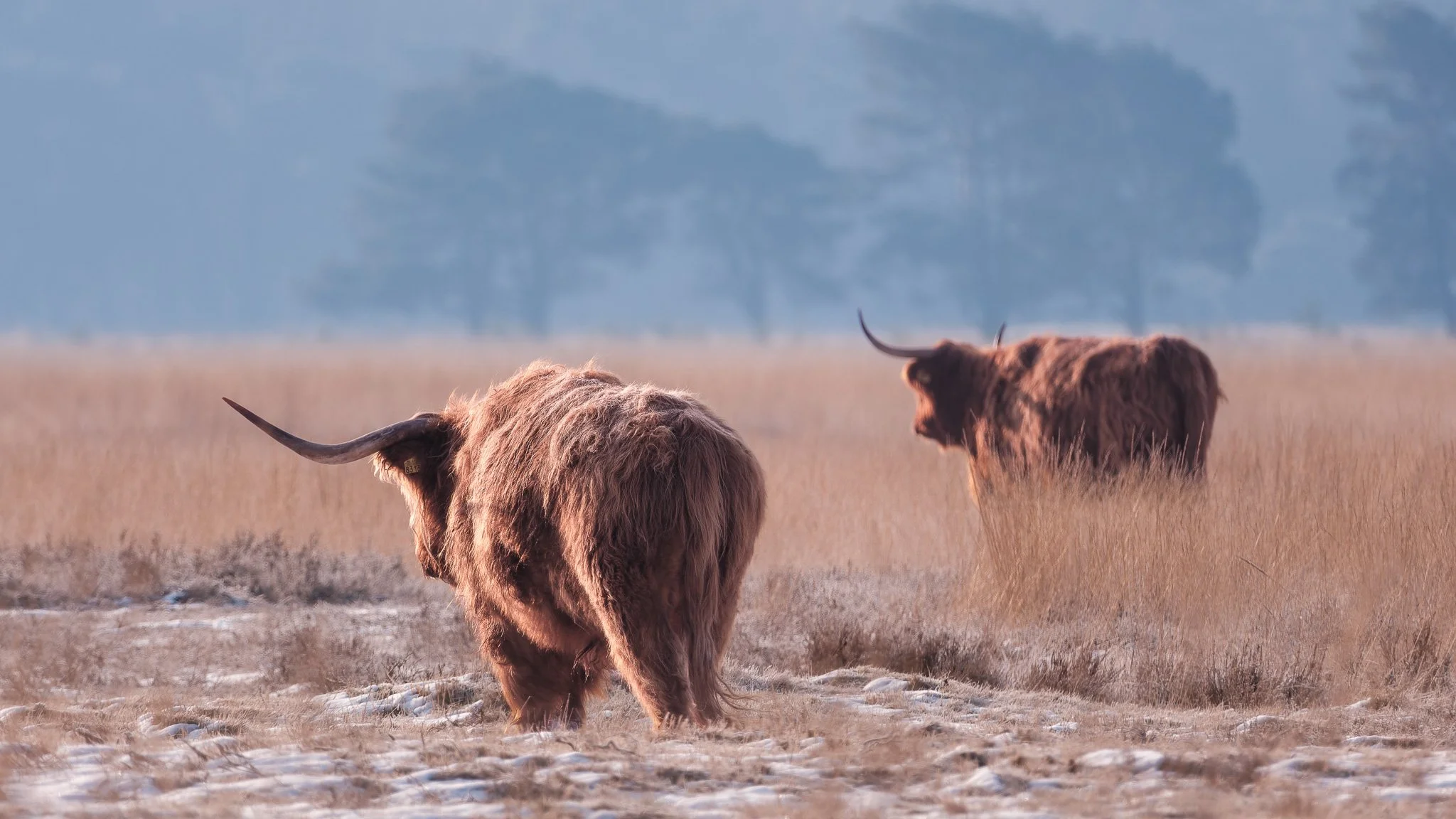 XS201707-DxO_DeepPRIME XD2s.jpg