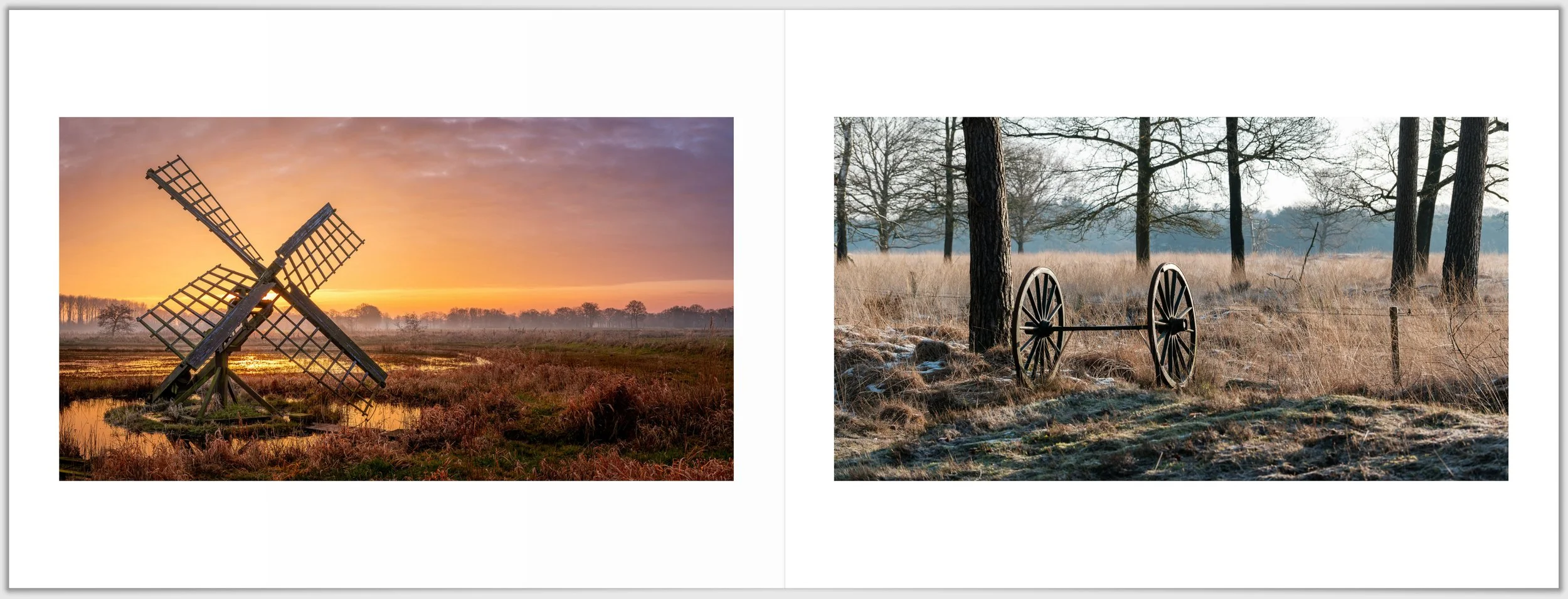 Schermafbeelding 2026-01-24 124520.jpg