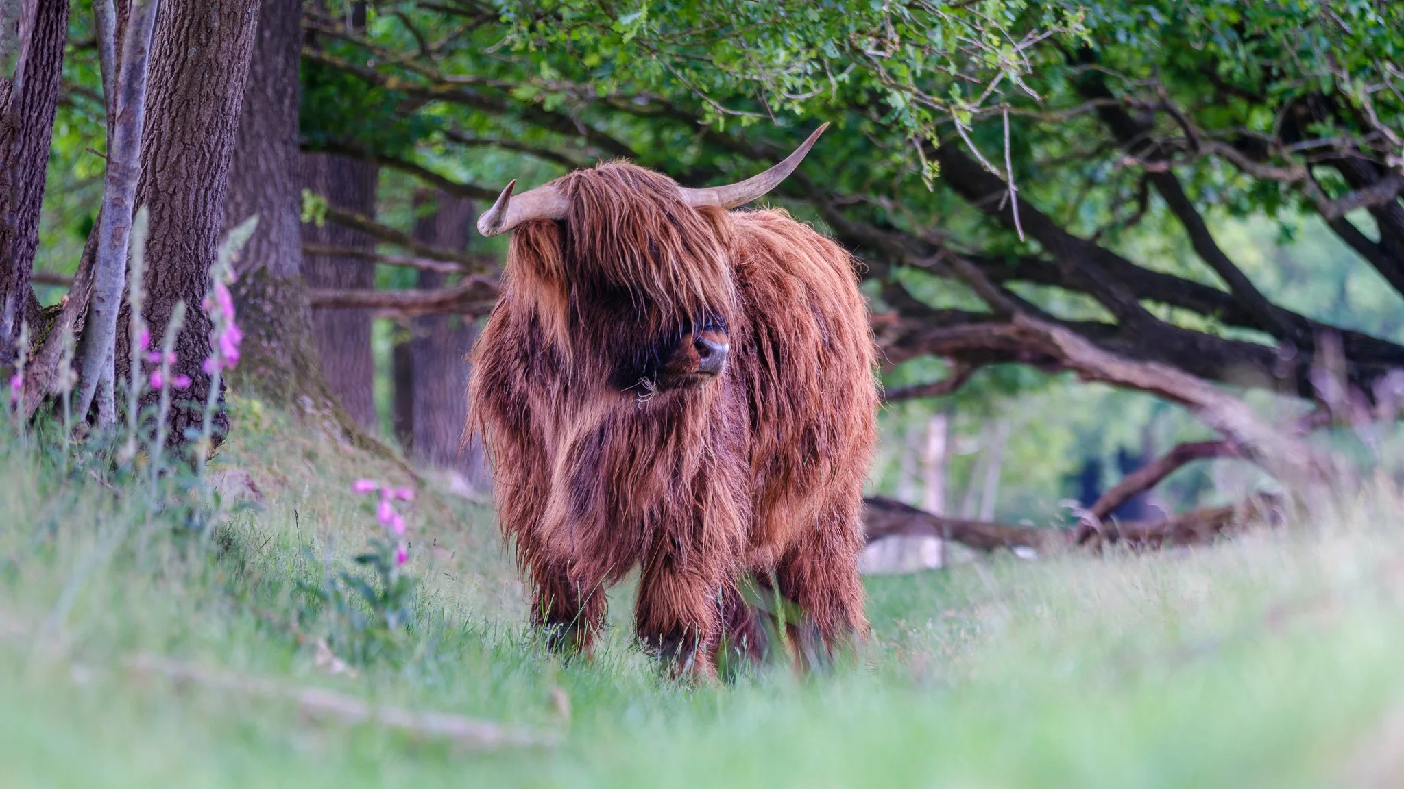 XT5X3113-DxO_DeepPRIME XD2s_XD-Pano-2.jpg