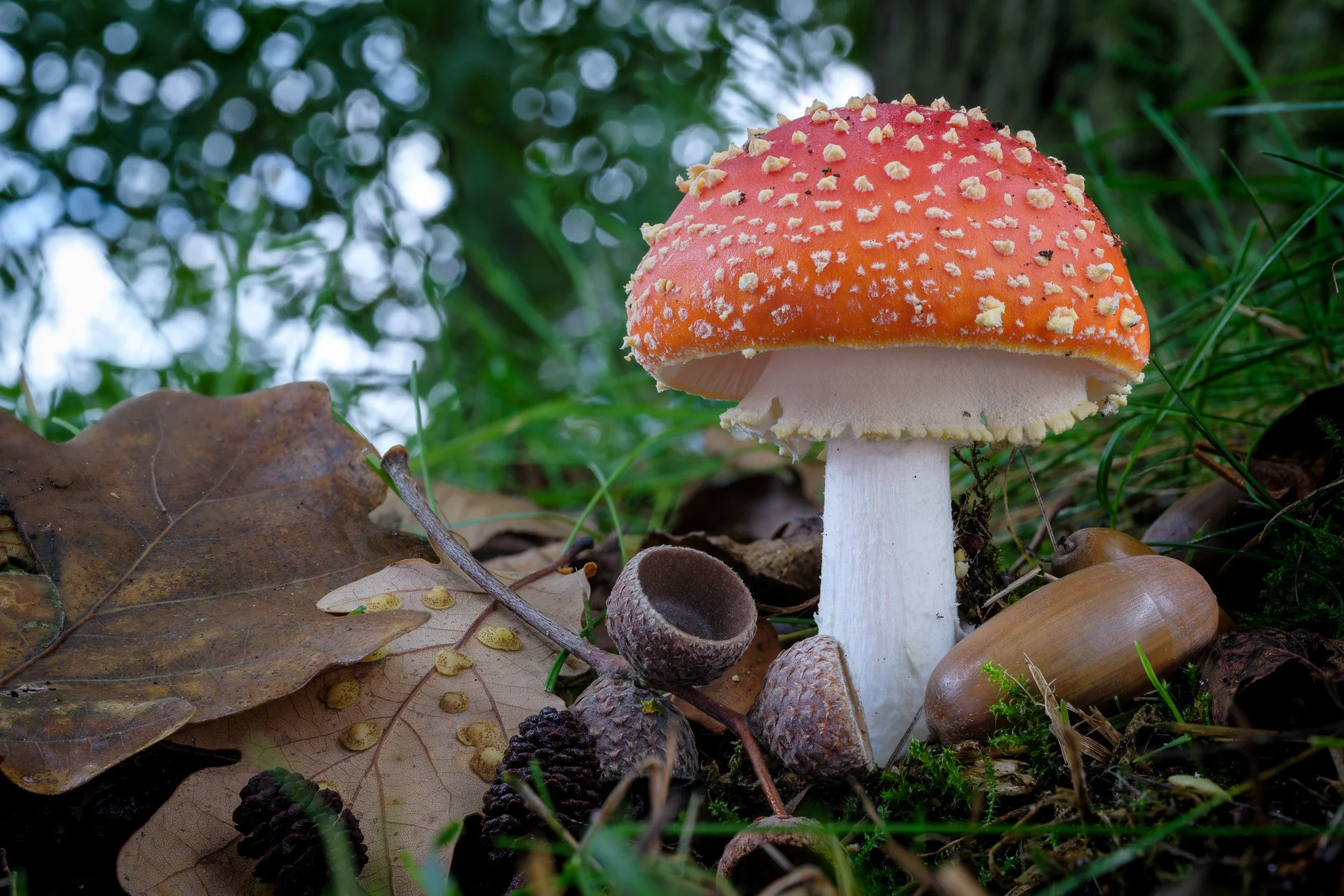 2025-10-07 12-49-17 (B,R20,S2).jpg