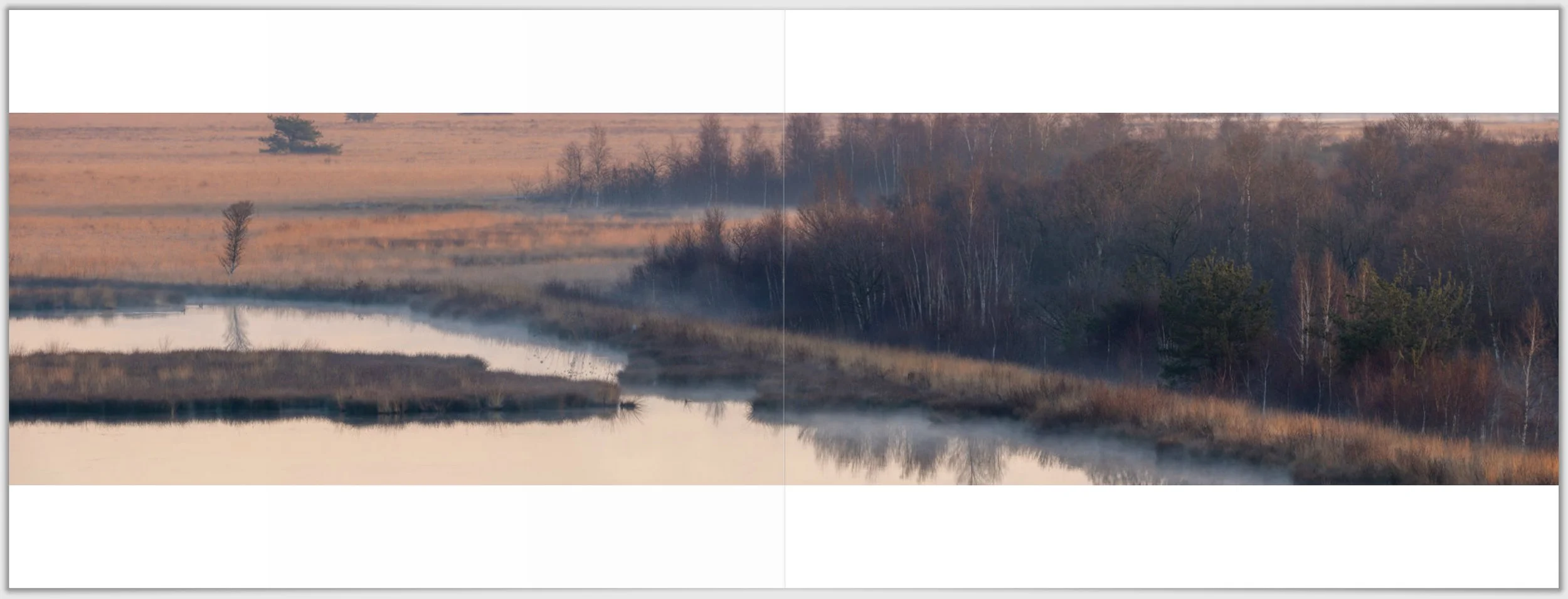 Schermafbeelding 2026-01-24 124556.jpg