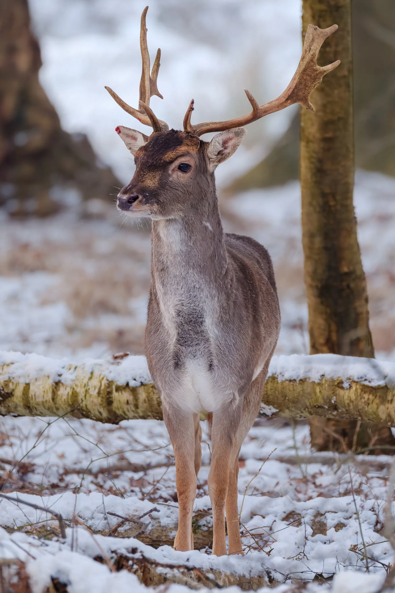 XH2O1759-DxO_DeepPRIME XD3 X-Trans-2.jpg