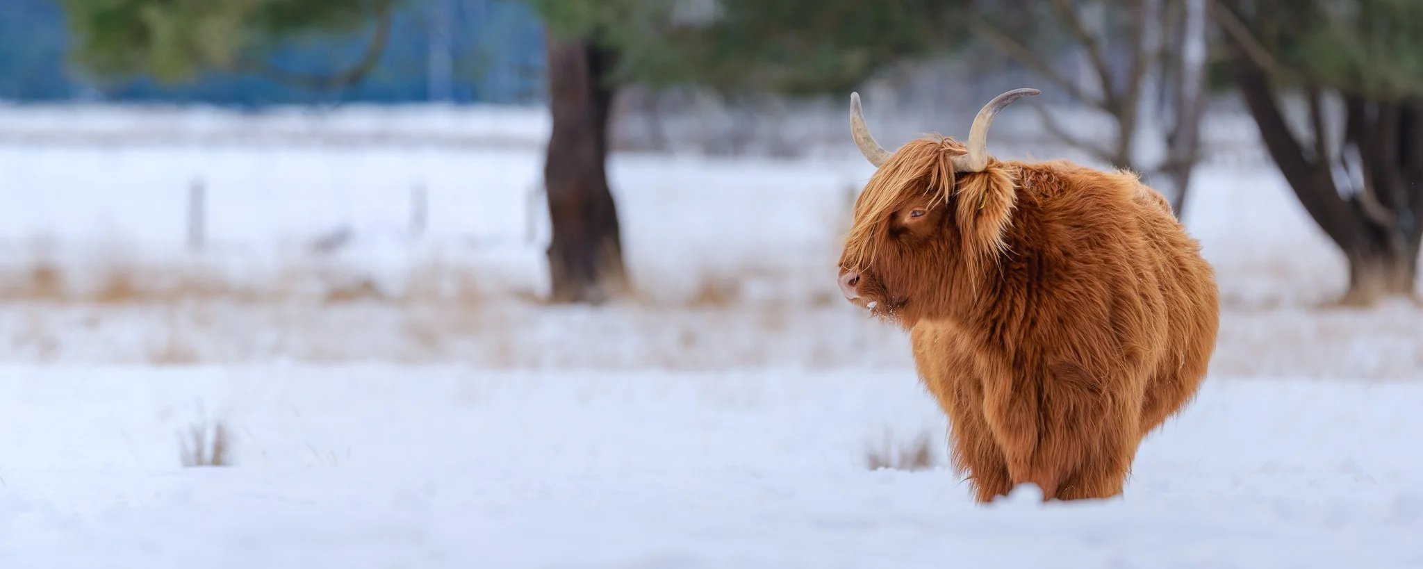 XH2O1235-DxO_DeepPRIME XD3 X-Trans-Pano-2.jpg