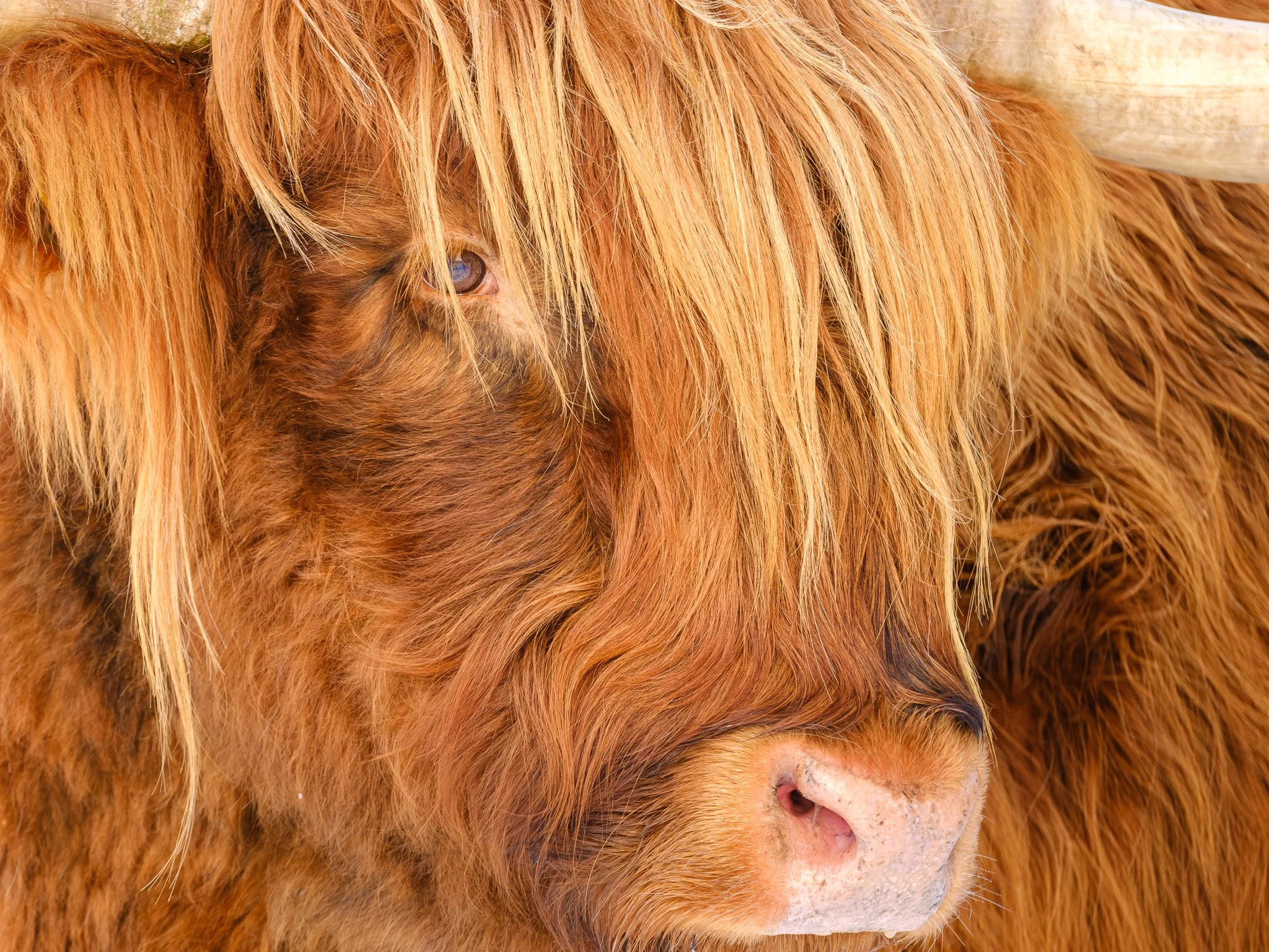 XS201221-DxO_DeepPRIME XD3 X-Trans.jpg