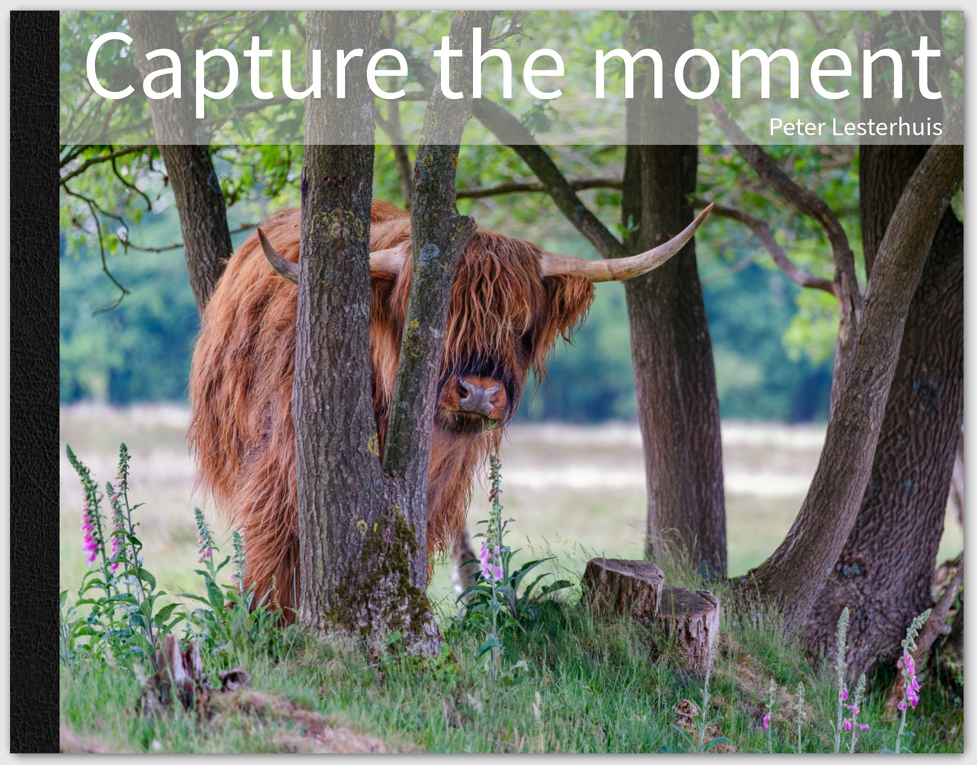 Schermafbeelding 2026-01-24 123859.jpg