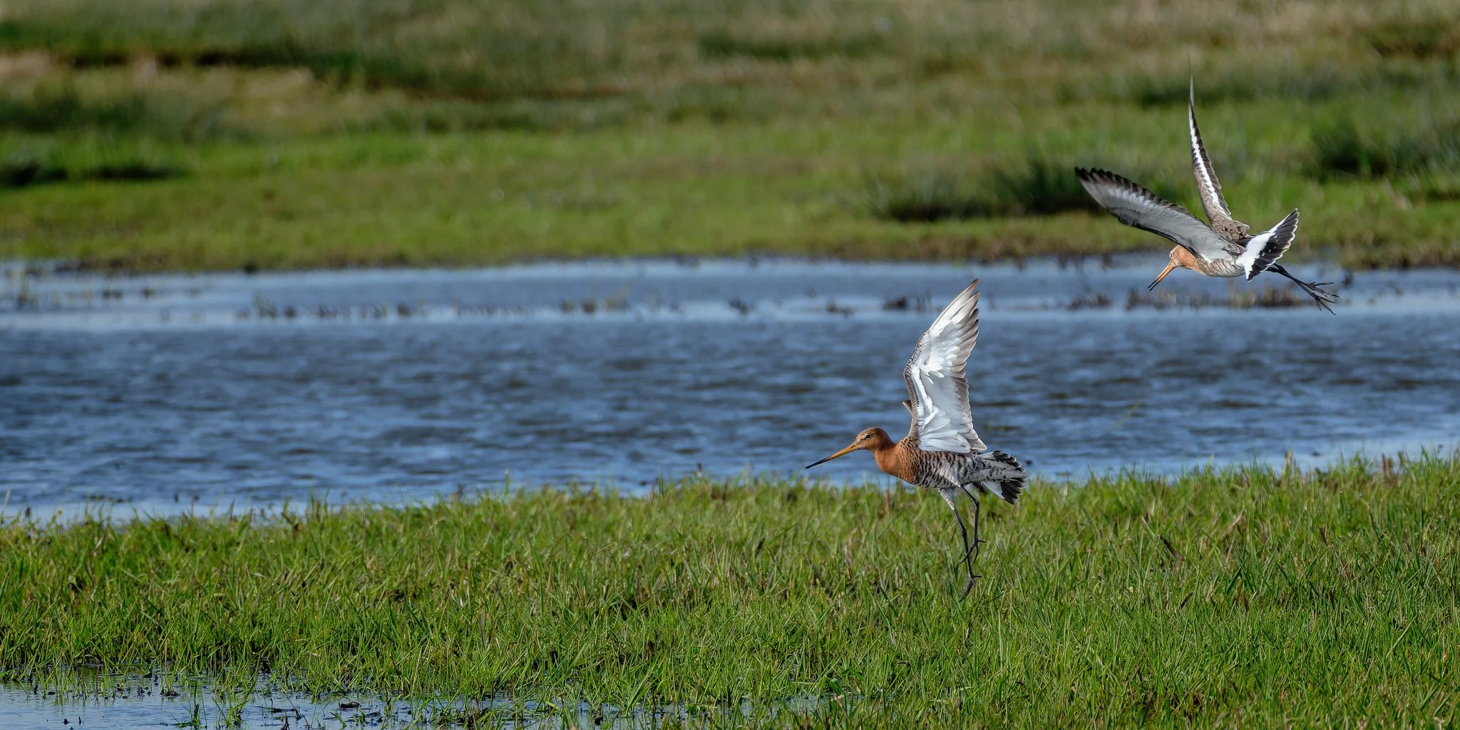 XH205778-DxO_DeepPRIME XD3 X-Trans-2.jpg