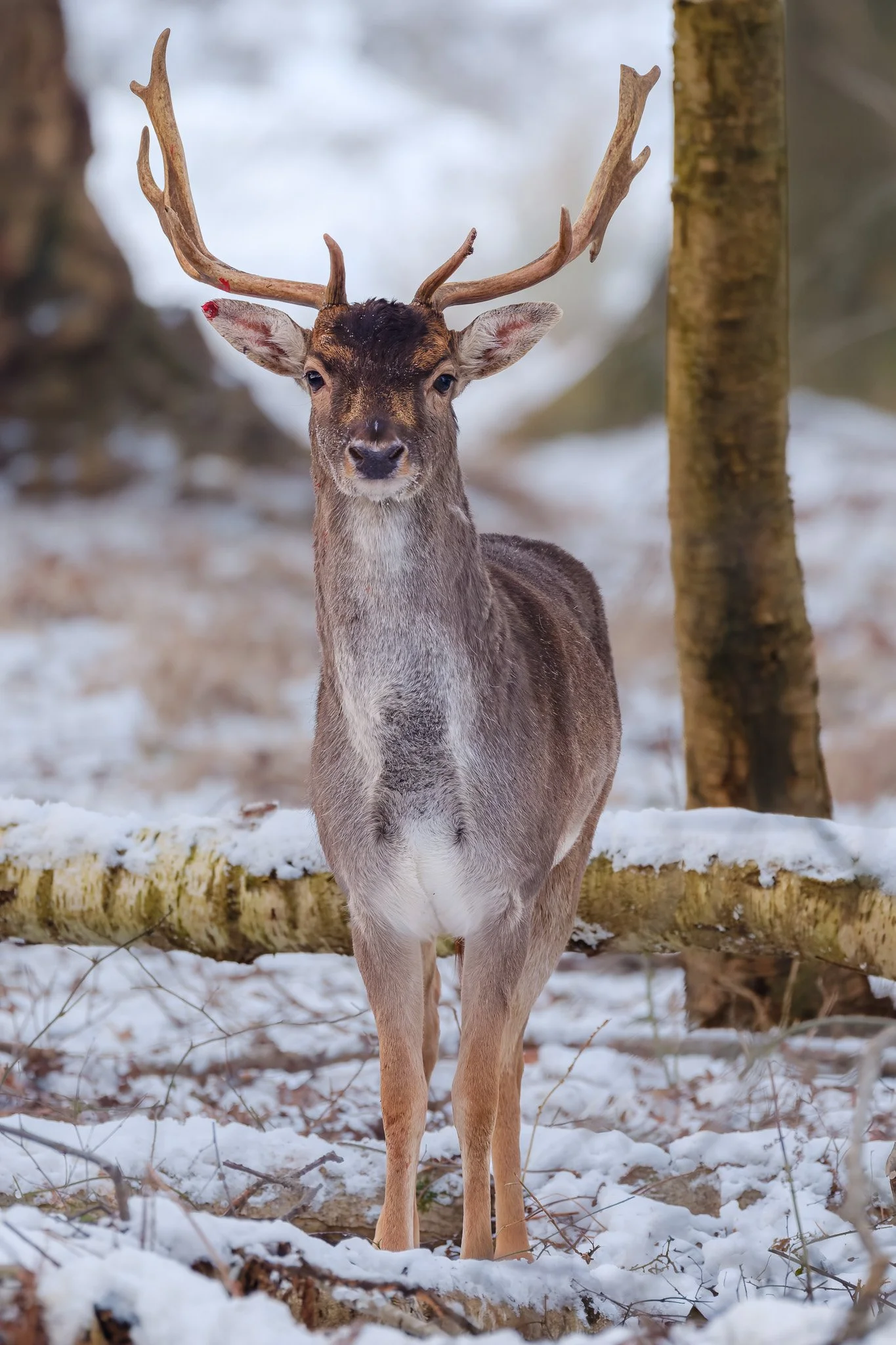 XH2O1736-DxO_DeepPRIME XD3 X-Trans-2.jpg