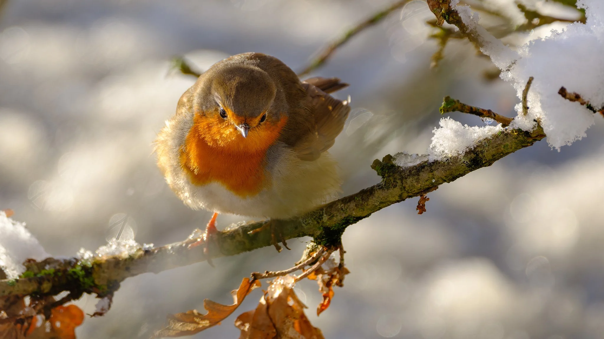 XH2O0218-DxO_DeepPRIME XD3 X-Trans.jpg