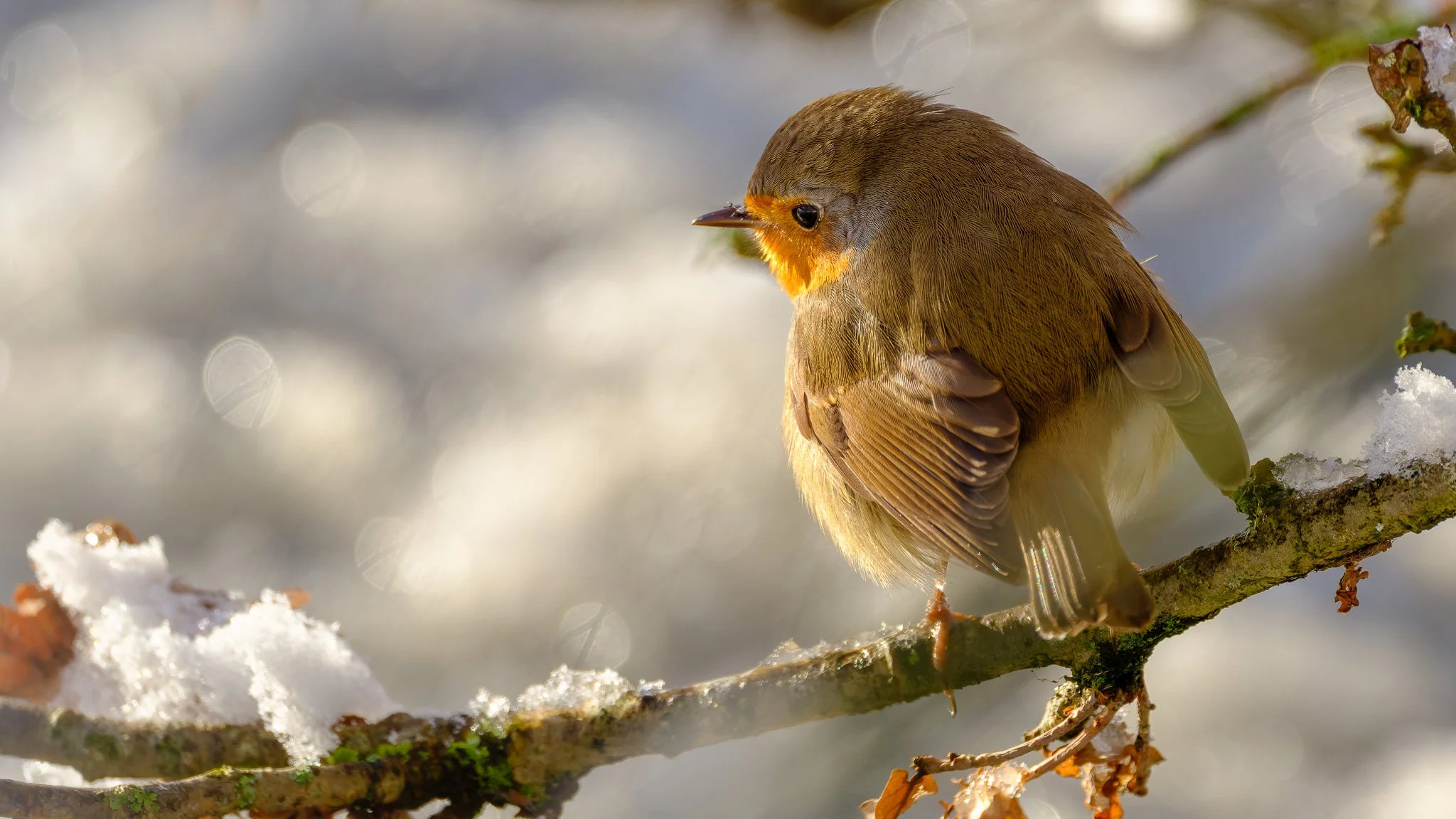 XH2O0187-DxO_DeepPRIME XD3 X-Trans.jpg