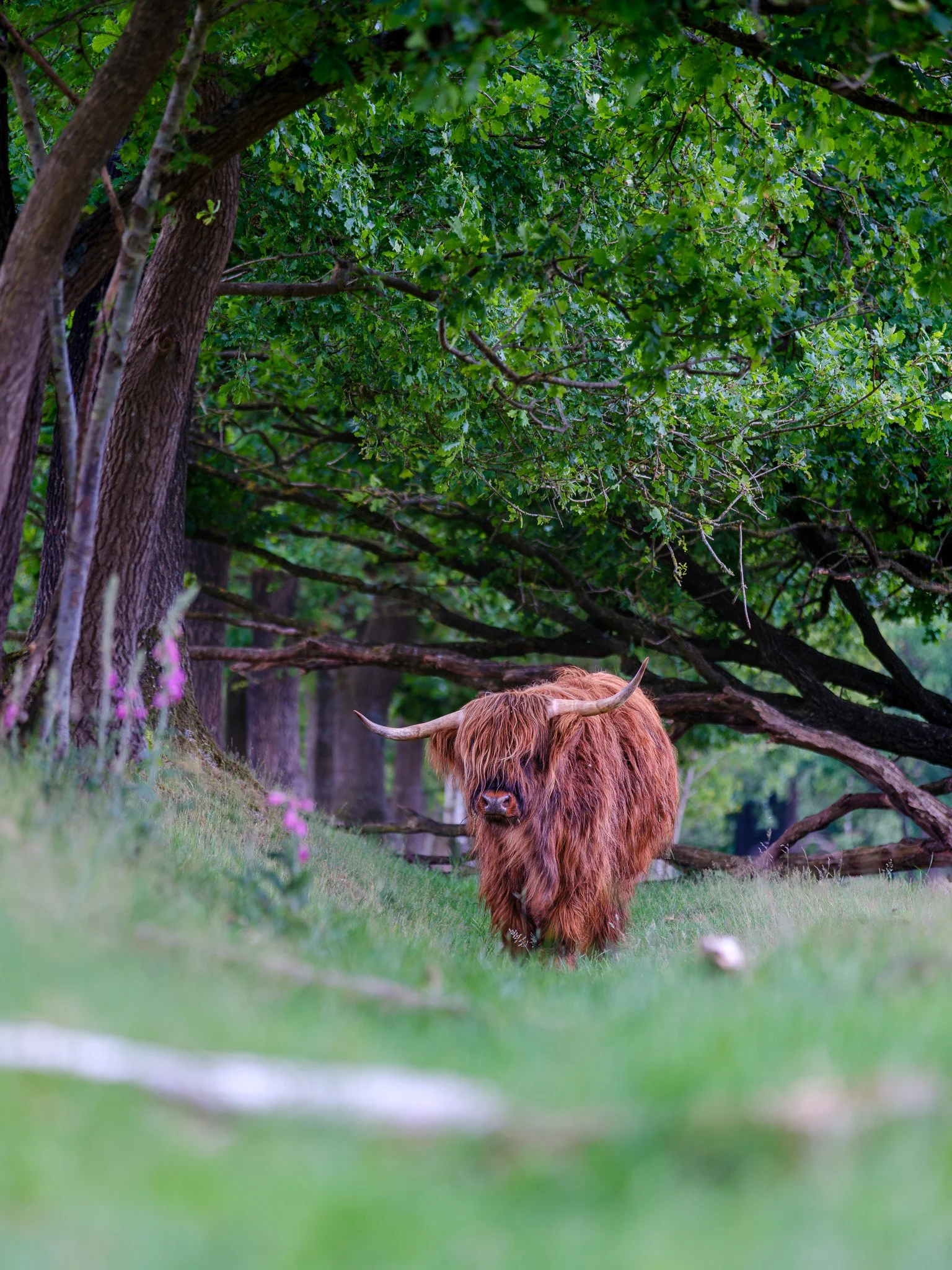 XT5X3035-DxO_DeepPRIME XD2s_XD.jpg