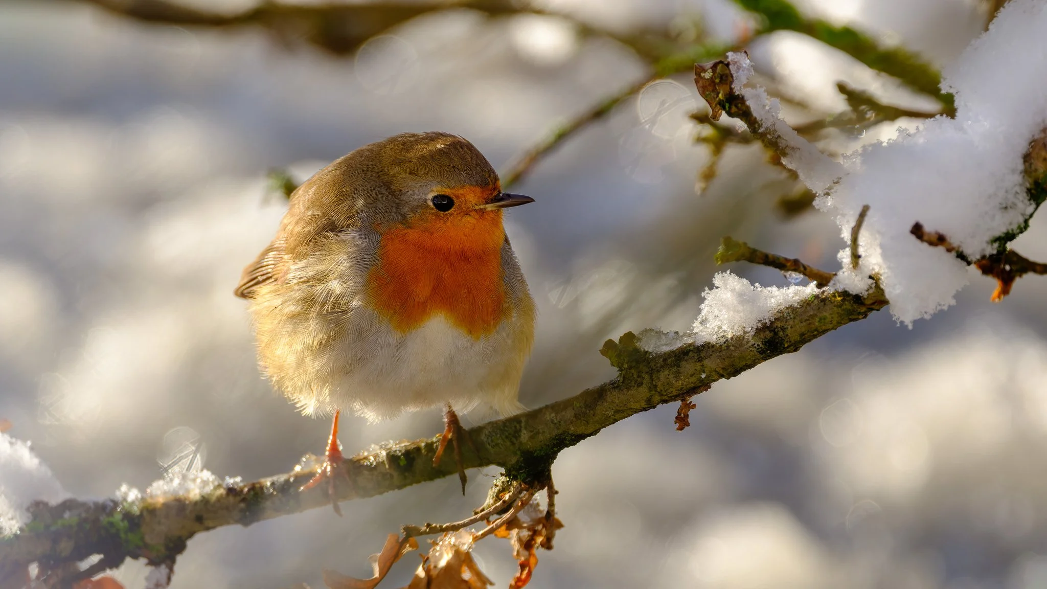 XH2O0232-DxO_DeepPRIME XD3 X-Trans.jpg