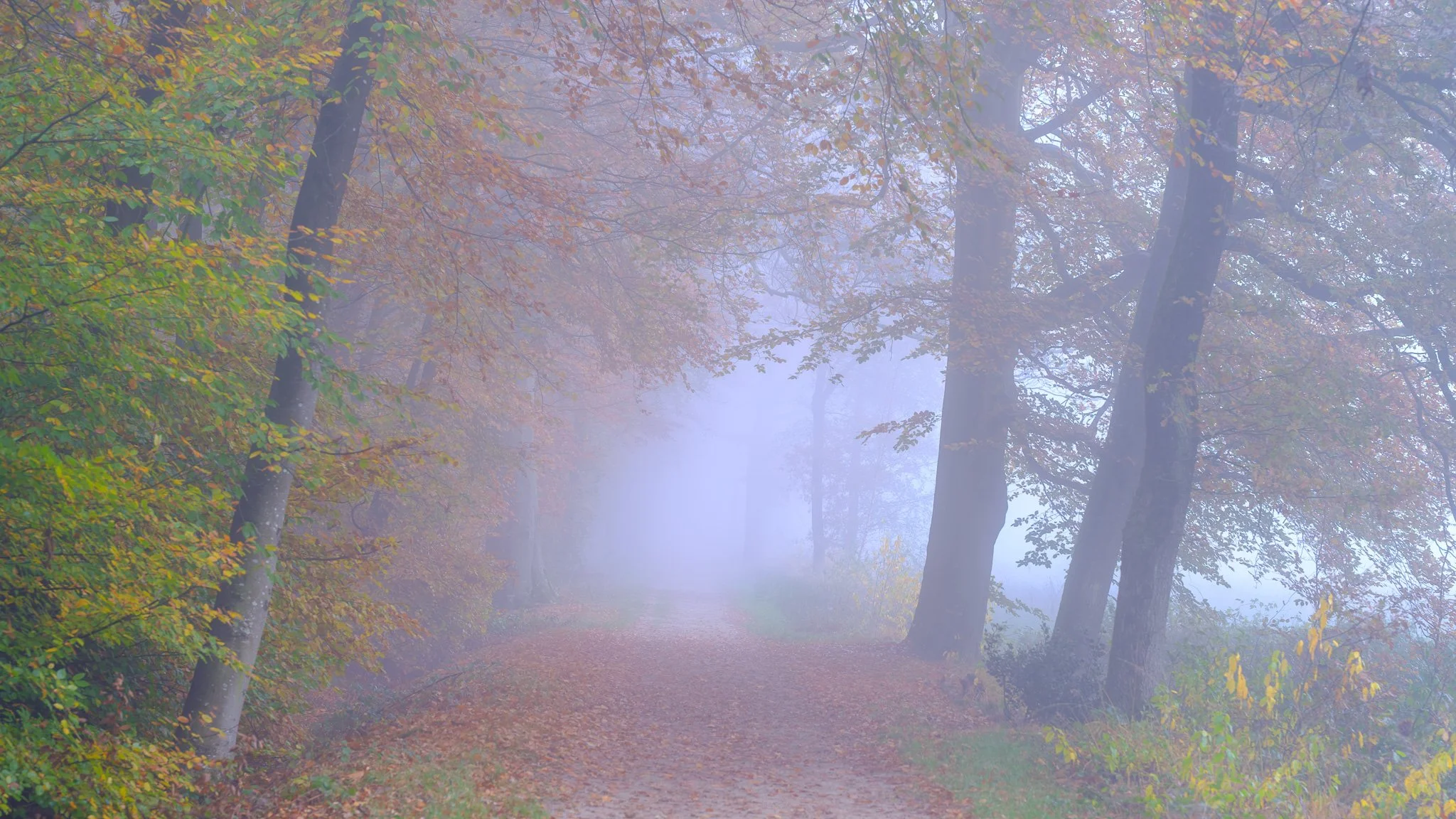 XT4Y1269-DxO_DeepPRIME XD3 X-Trans-HDR.jpg