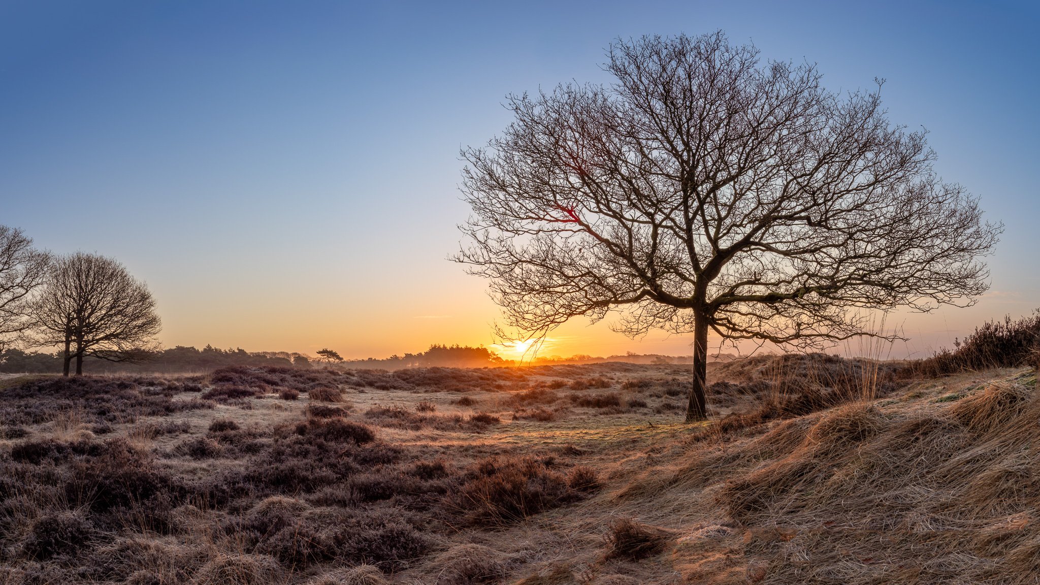 OM310251-DxO_DeepPRIME XD2s-Pano.jpg