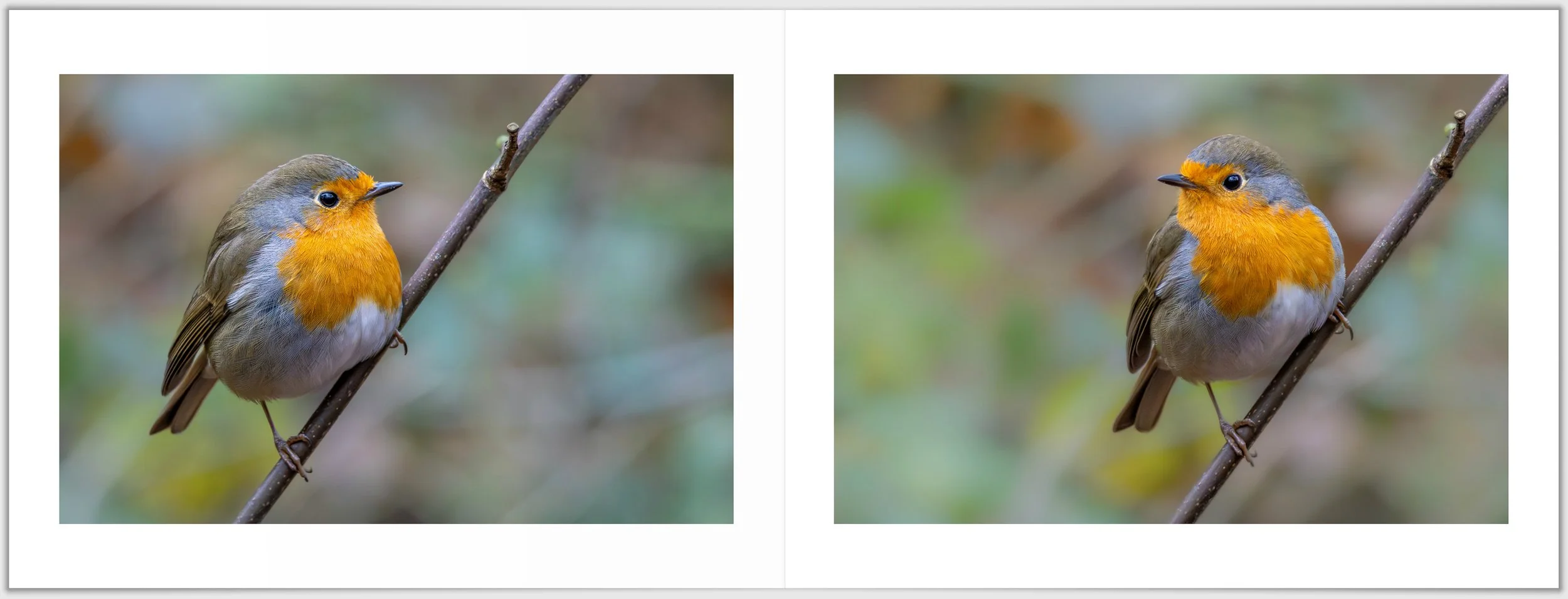 Schermafbeelding 2026-01-24 124359.jpg