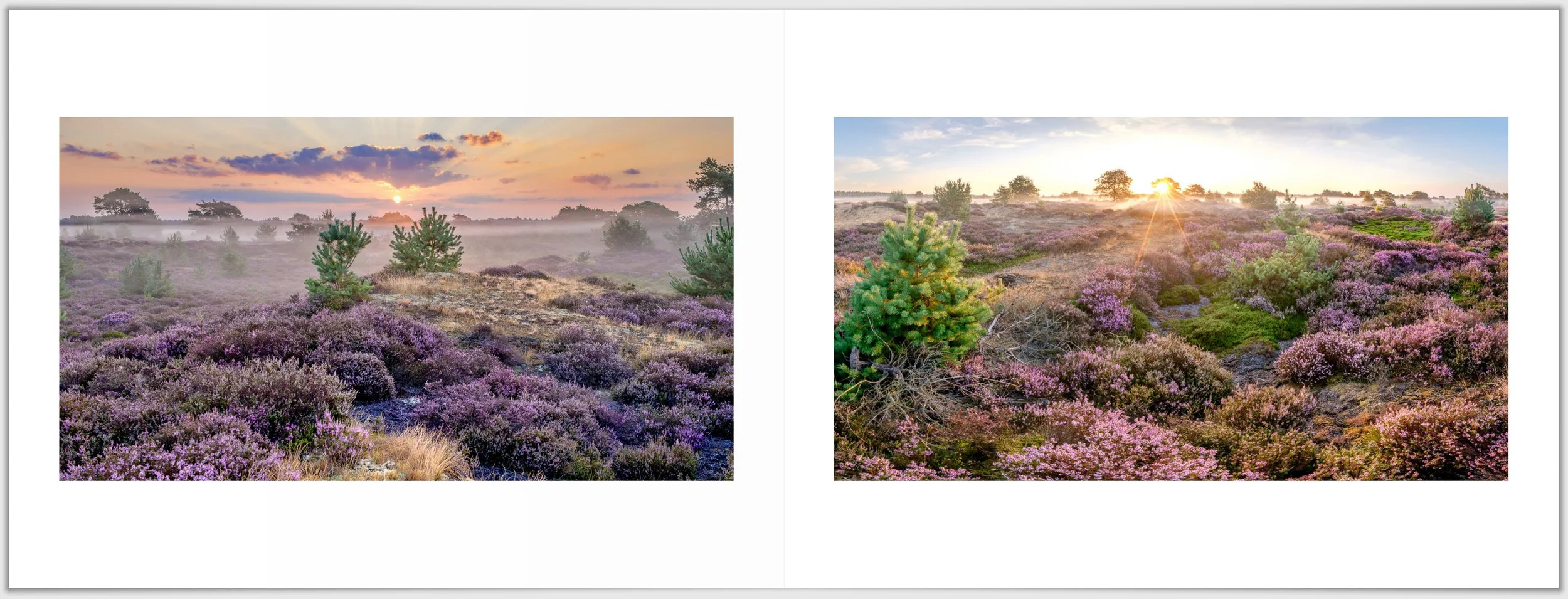 Schermafbeelding 2026-01-24 124854.jpg