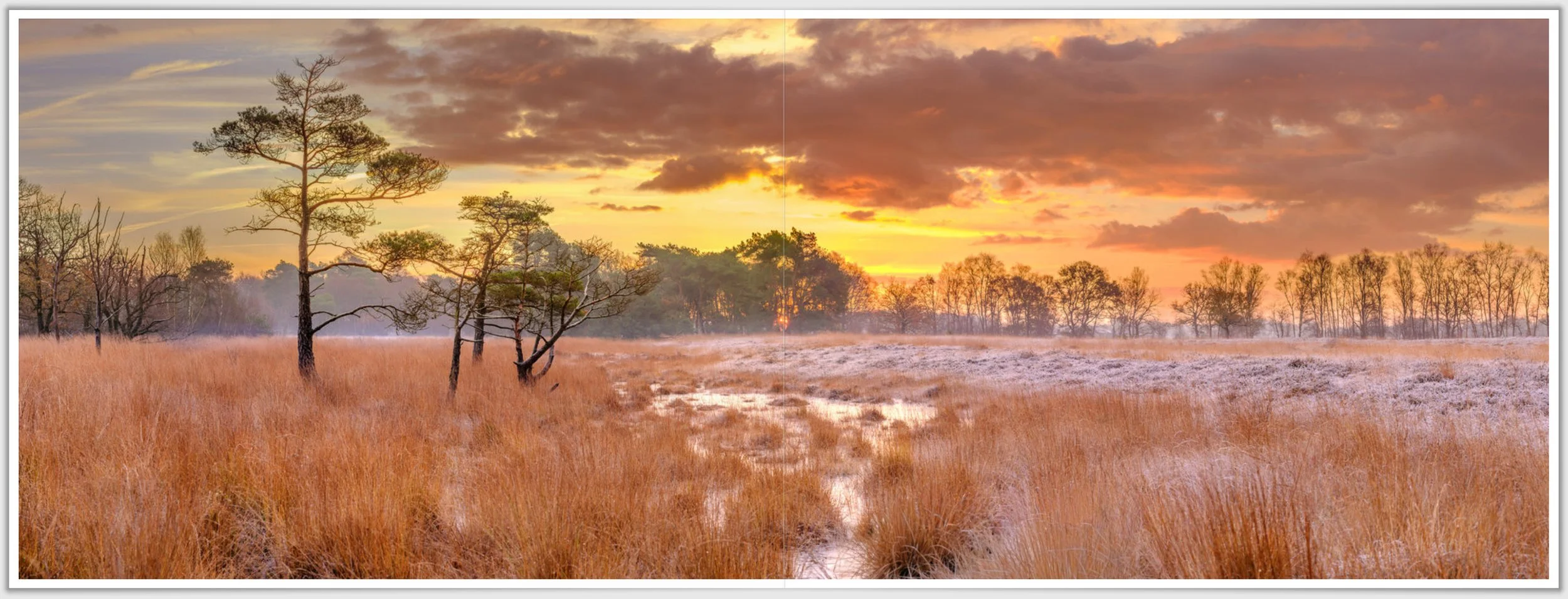 Schermafbeelding 2026-01-24 124940.jpg