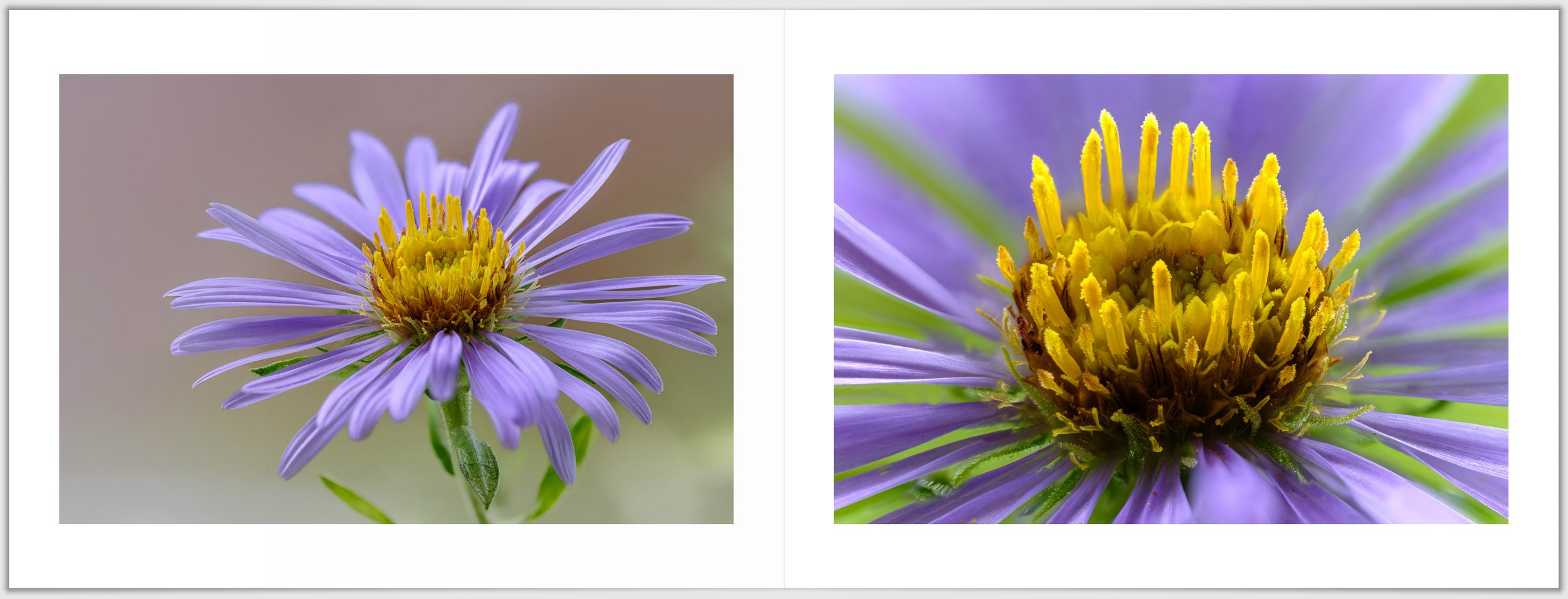 Schermafbeelding 2026-01-24 124904.jpg