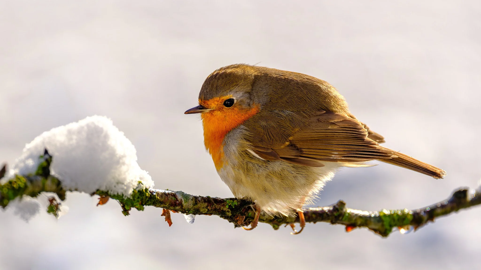 XH2O0181-DxO_DeepPRIME XD3 X-Trans.jpg