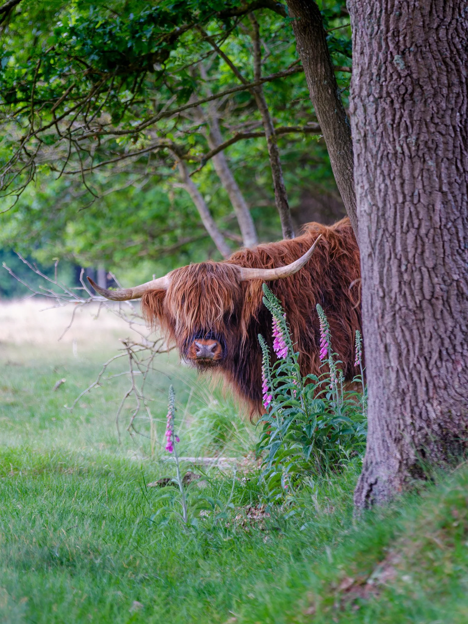 XT5X3128-DxO_DeepPRIME XD2s_XD.jpg