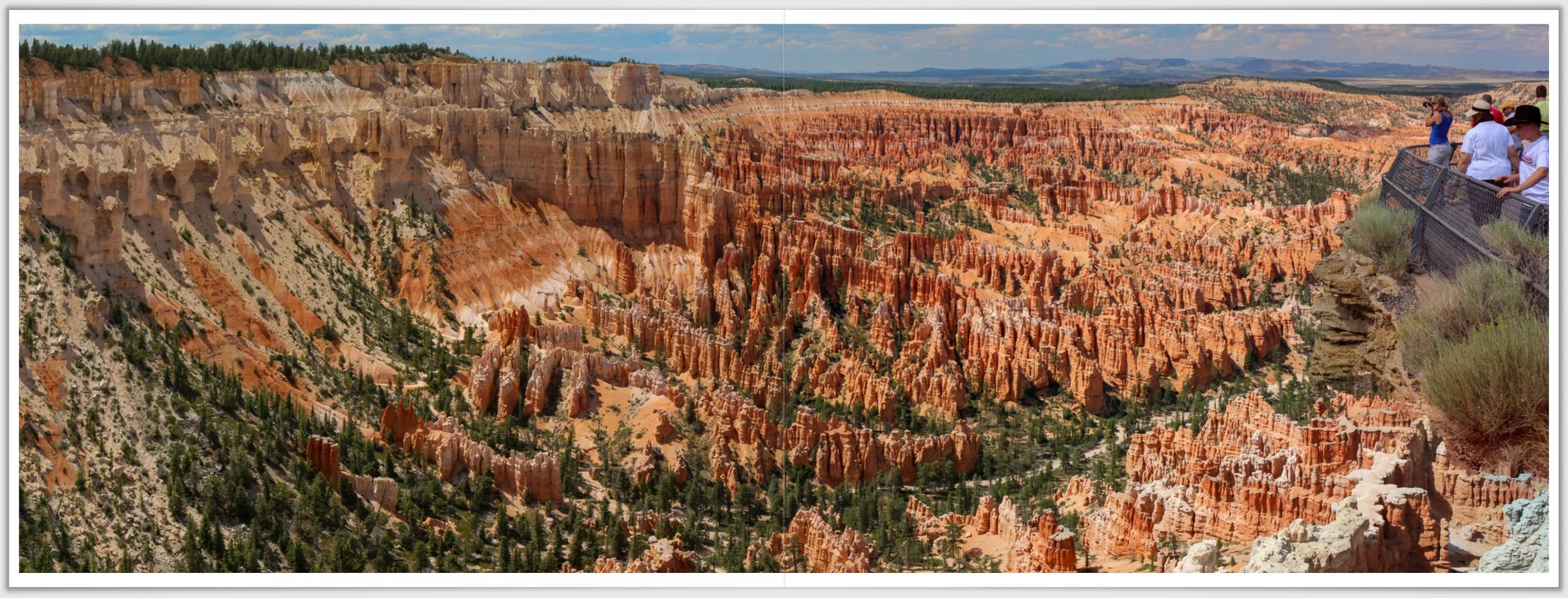 Schermafbeelding 2026-01-24 130407.jpg