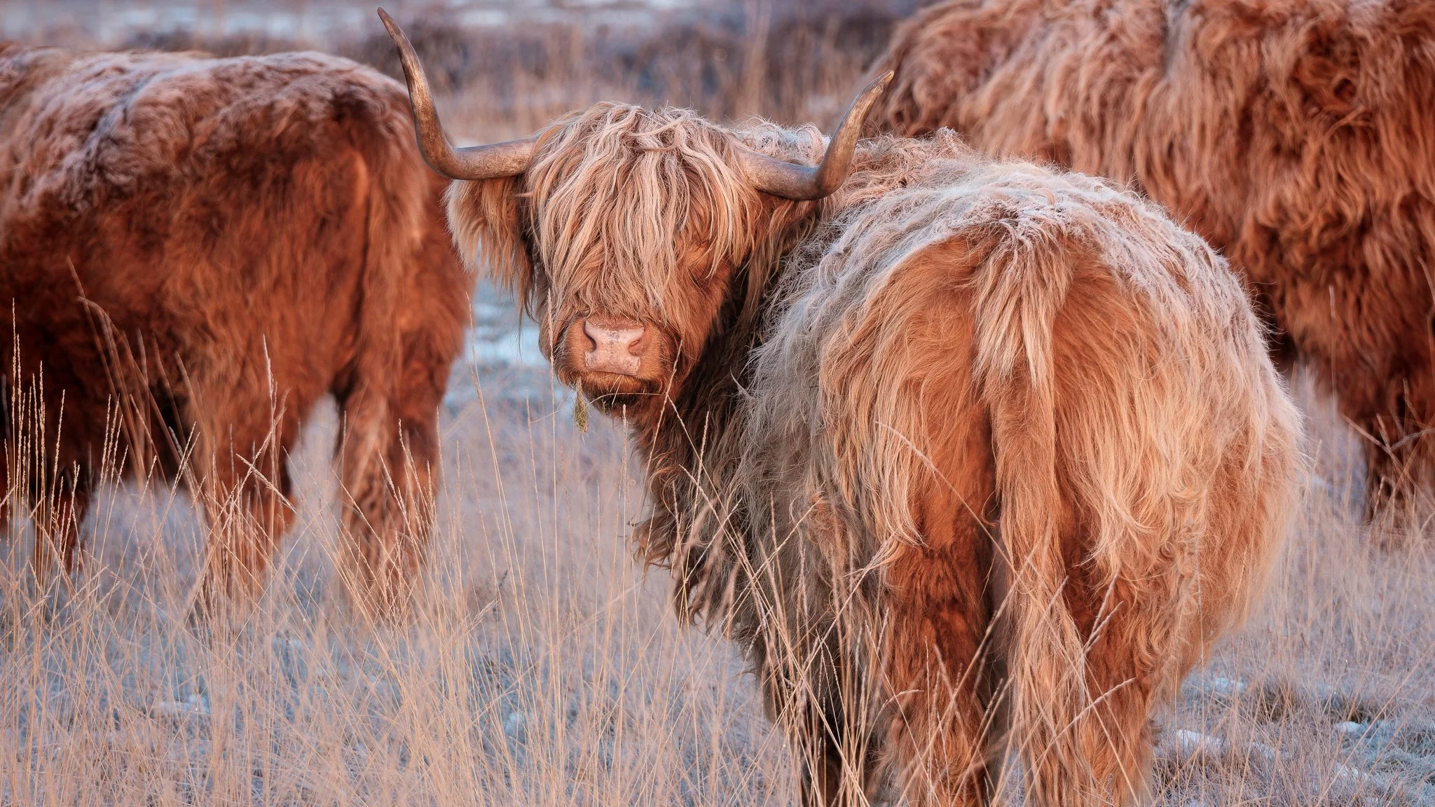 XS201443-DxO_DeepPRIME XD2s-2.jpg