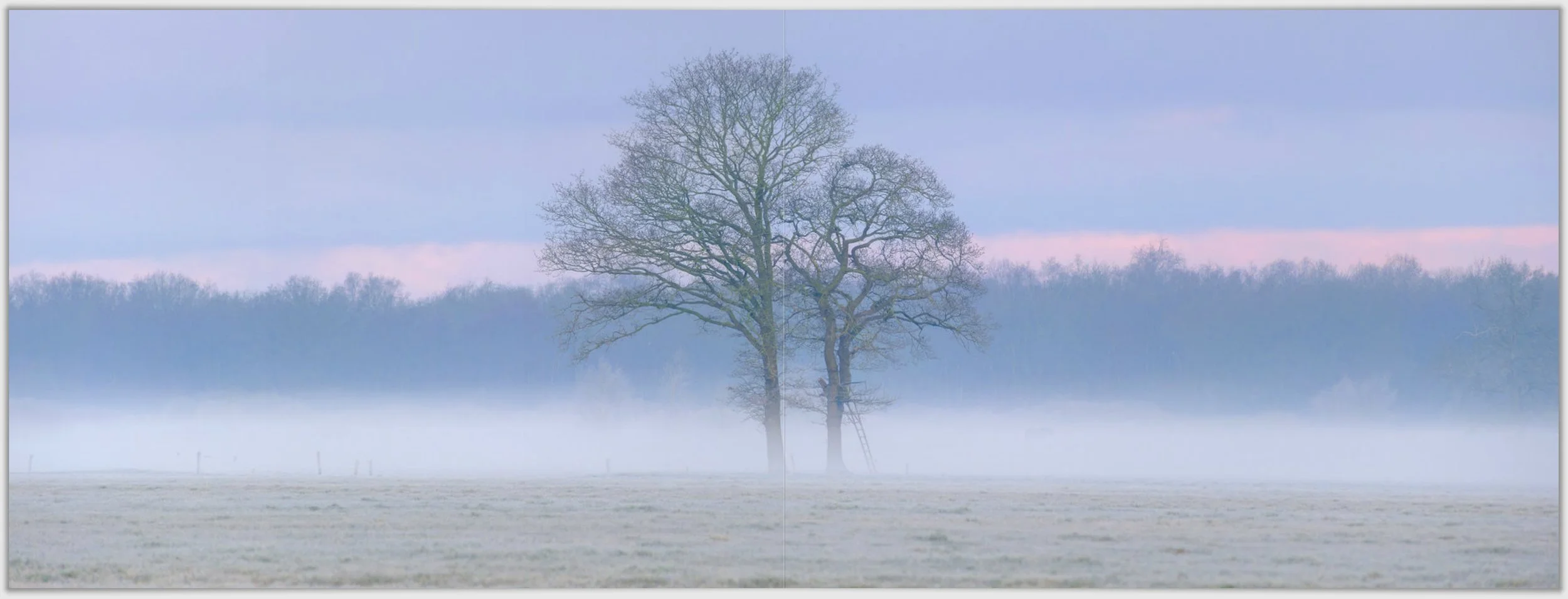 Schermafbeelding 2026-01-24 124621.jpg