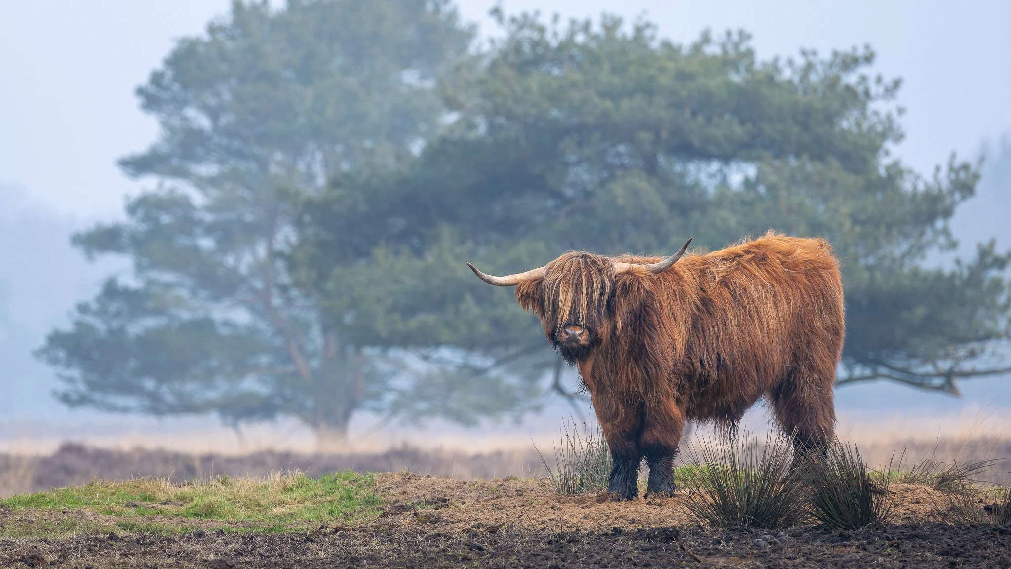 XS200307-DxO_DeepPRIME XD2s-2.jpg