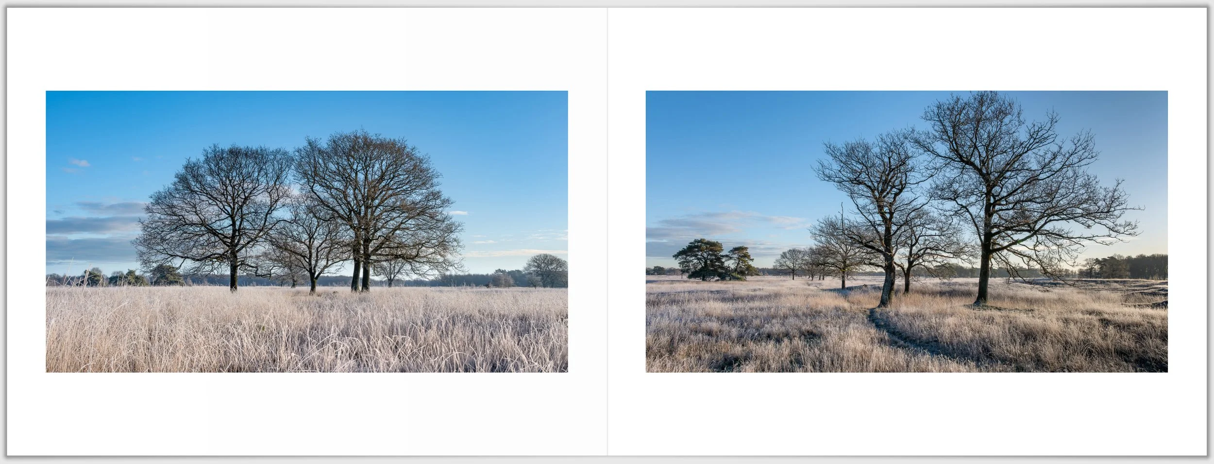 Schermafbeelding 2026-01-24 124450.jpg