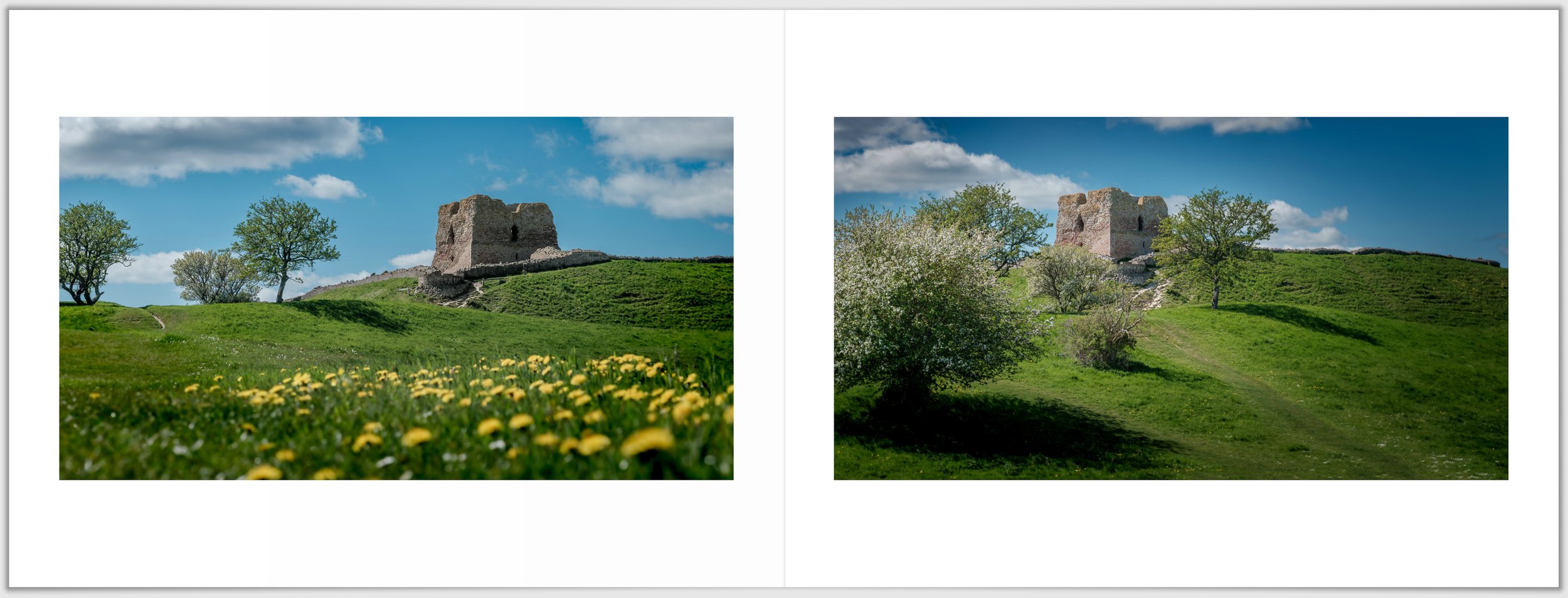 Schermafbeelding 2026-01-24 124725.jpg