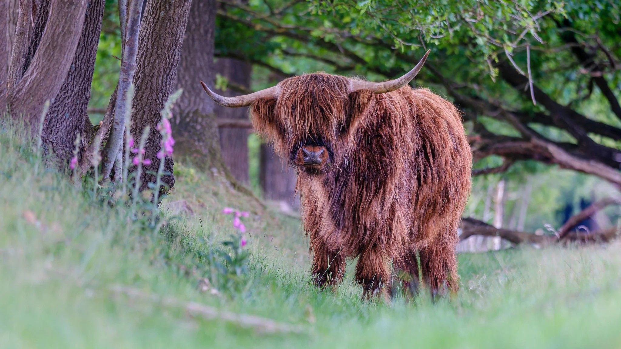 XT5X3090-DxO_DeepPRIME XD2s_XD-Pano-2.jpg