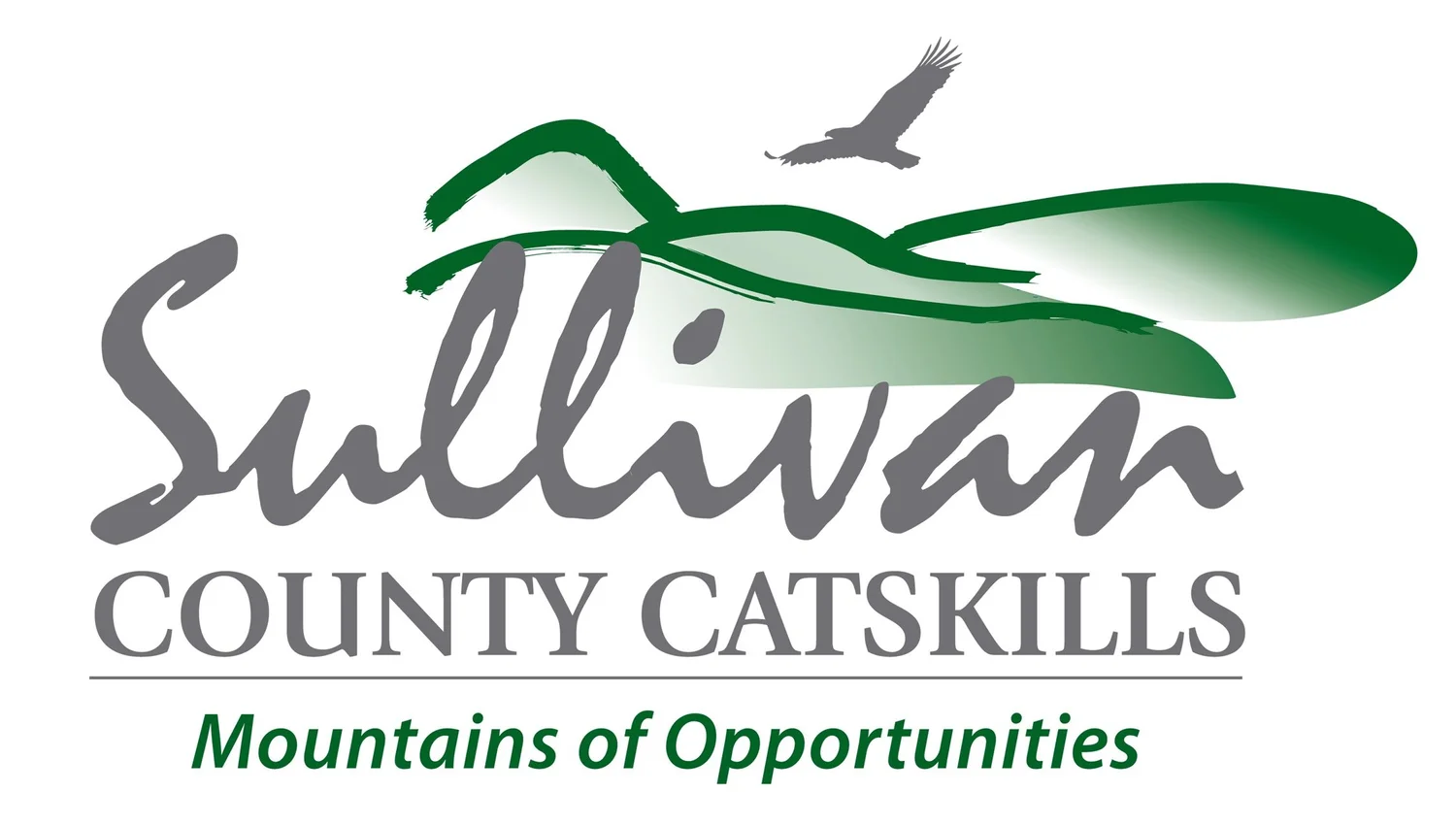 Sullivan County Broadband
