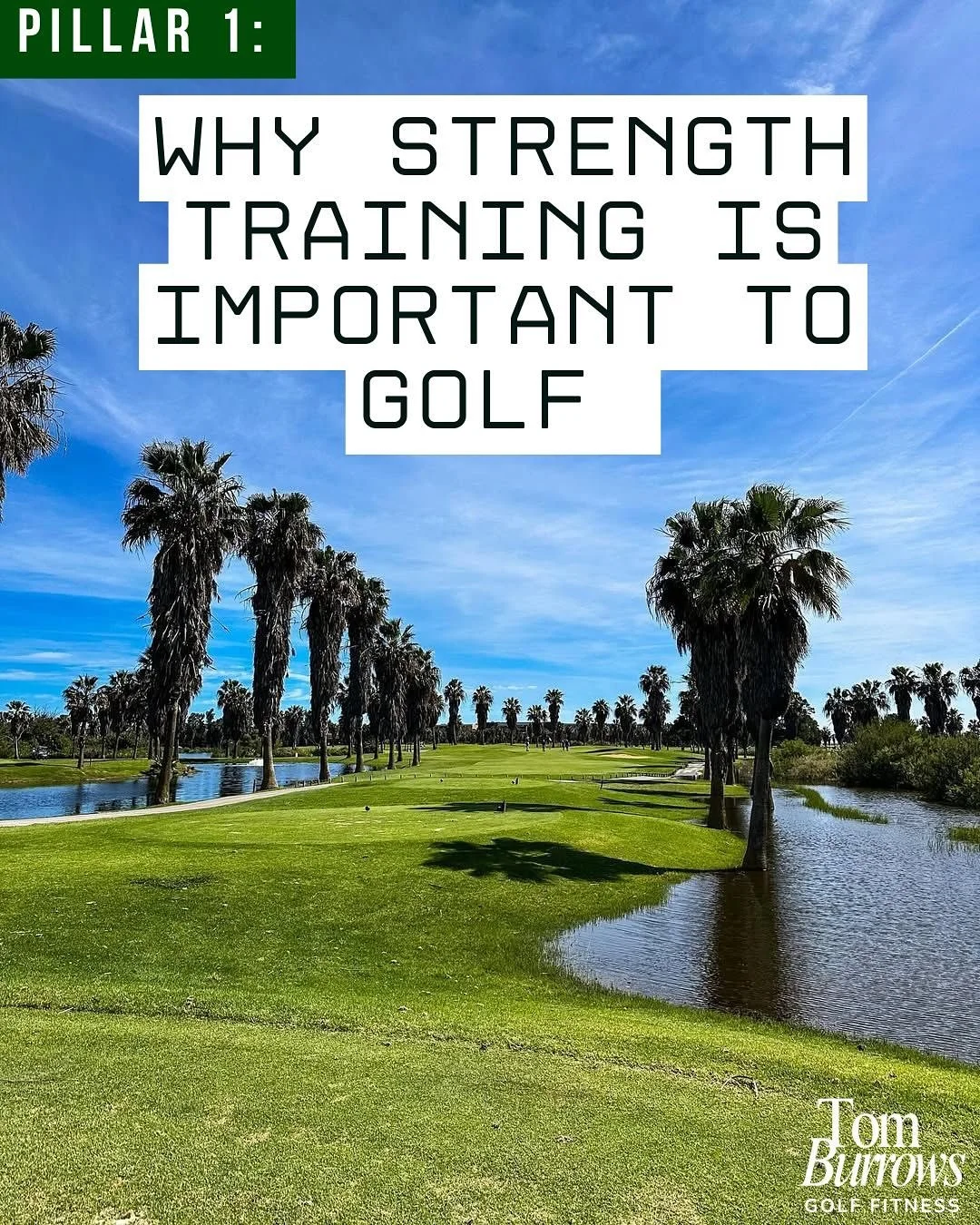 Pillar 1 of successful golf fitness - strength training.
A deep dive.  #golffitness #golfperformance #strengthtraining #hitbombs #ballspeed
