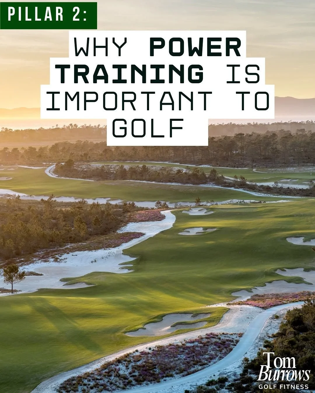 Pillar 2 - power. A deep dive into the benefits power training can have on our golf performance.
#golfperformance #golffitness #golfpower #golf #longdrive