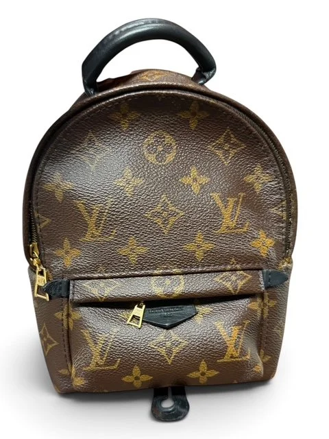 Louis Vuitton Monogram Palm Springs Mini Backpack
