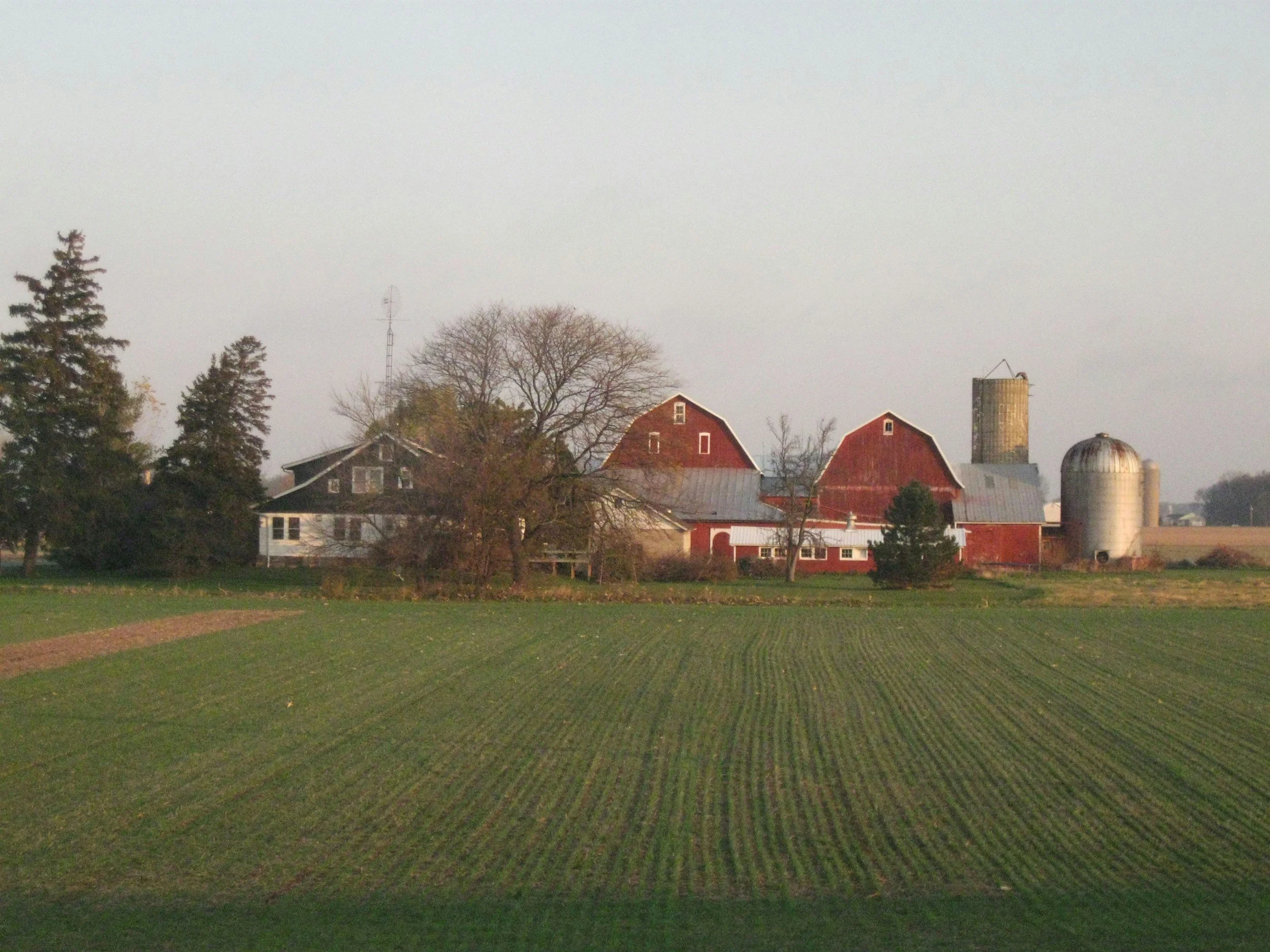 A farm with a red barn, silos, and a white farmhouse, surrounded by open fields and trees under a clear sky in the countryside.