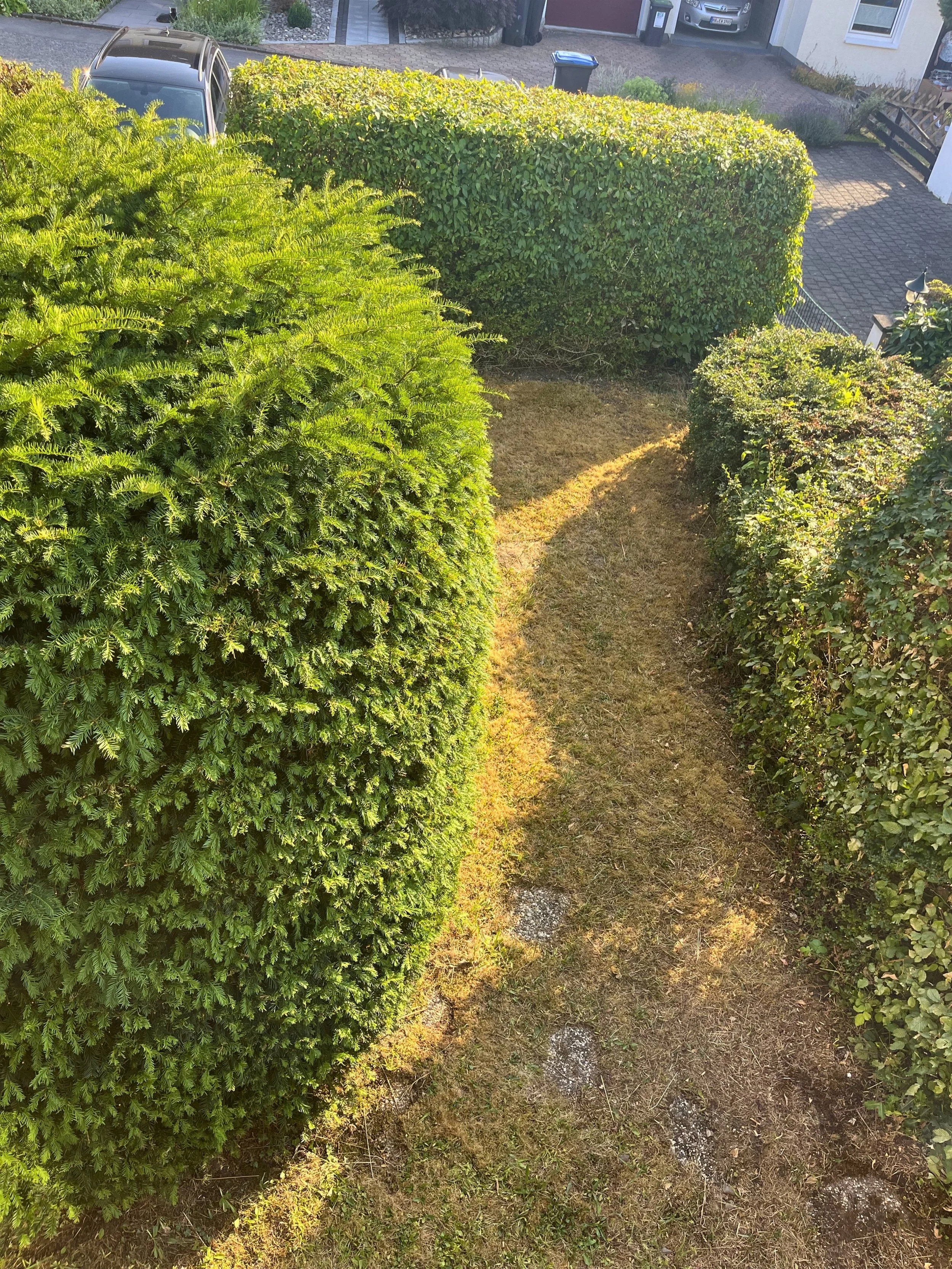 Gartenabschnitt links von oben