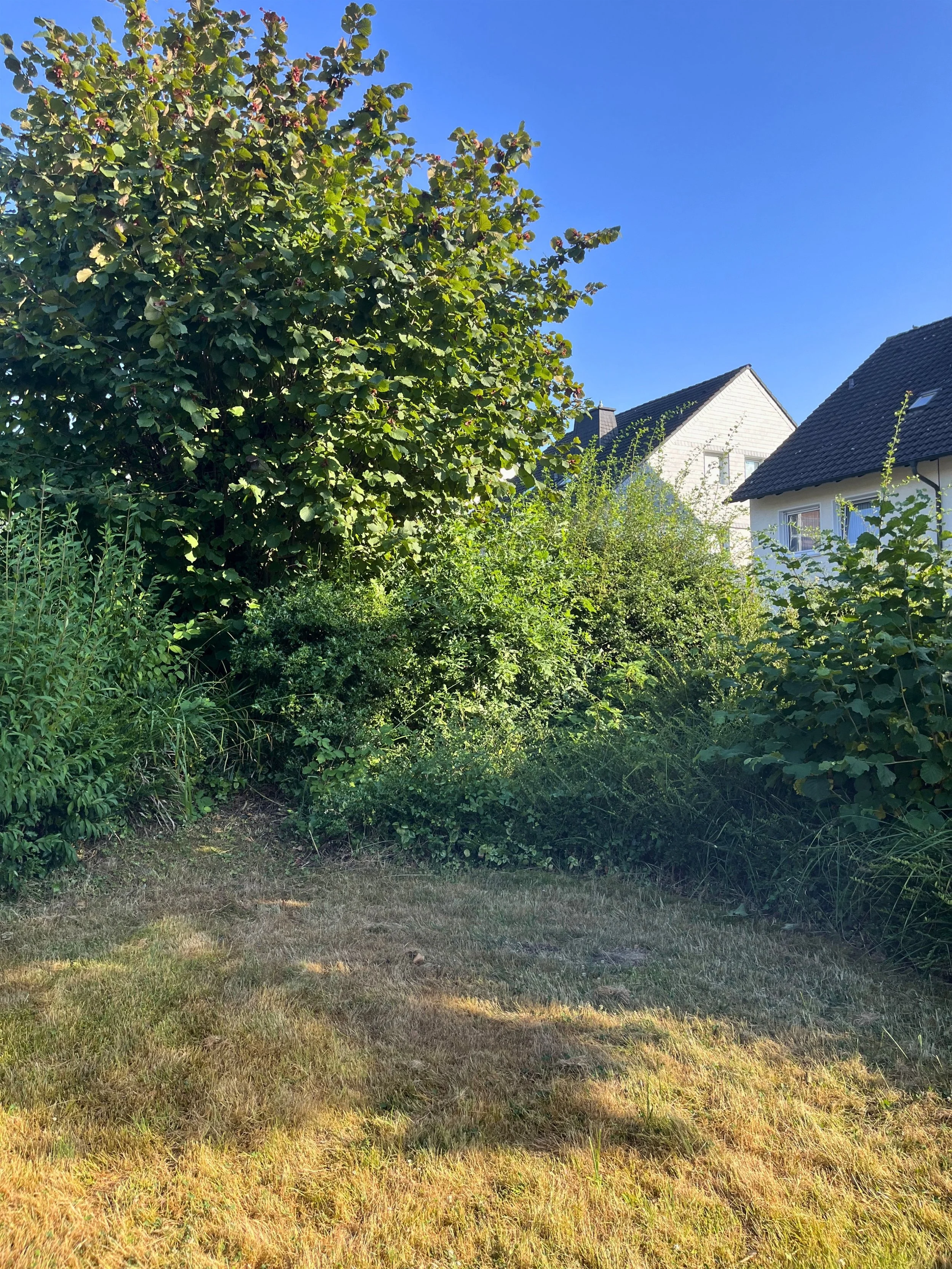 Gartenabschnitt rechts