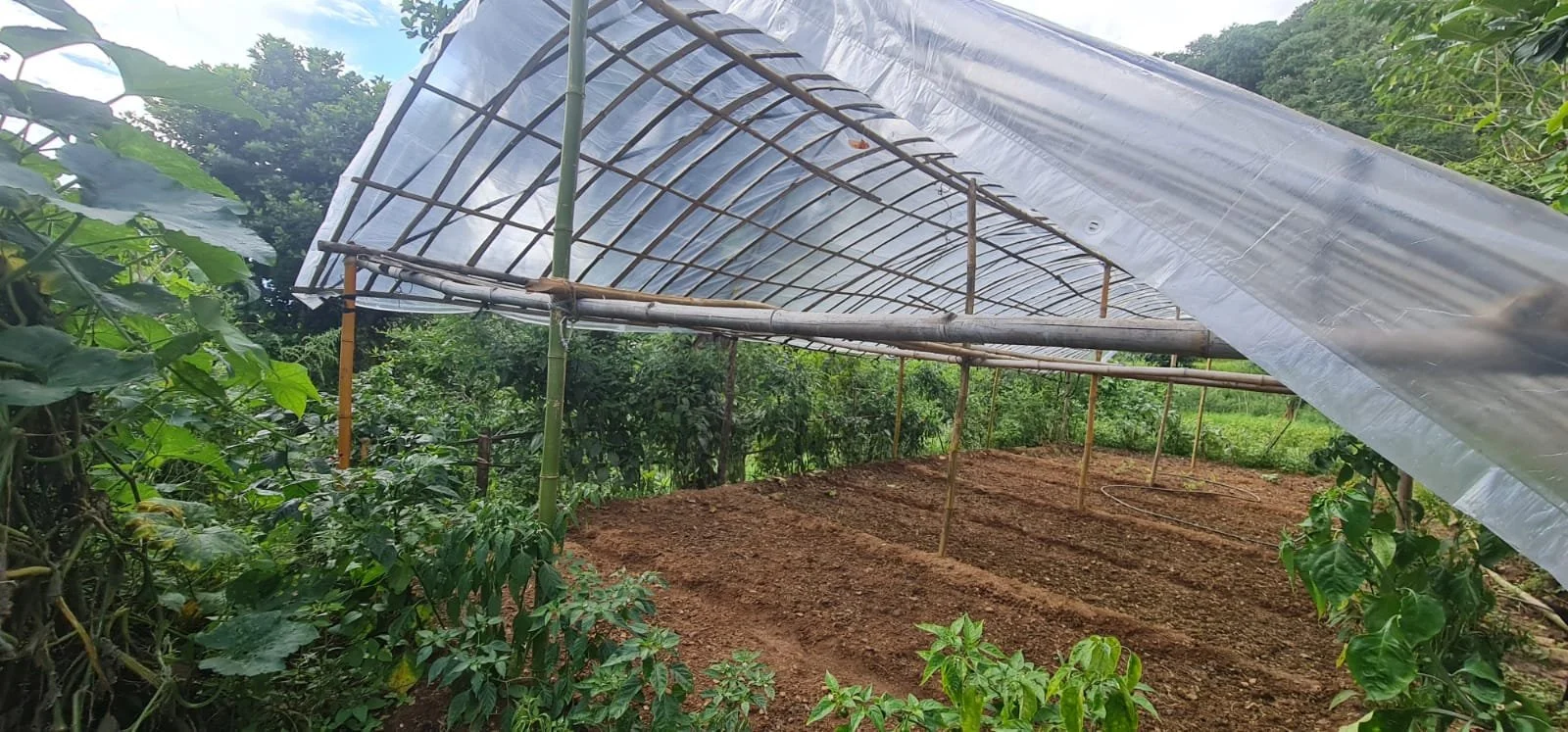  Eleven greenhouses have been installed at the various family farms. Teams were on hand to ensure the work was done effectively. 