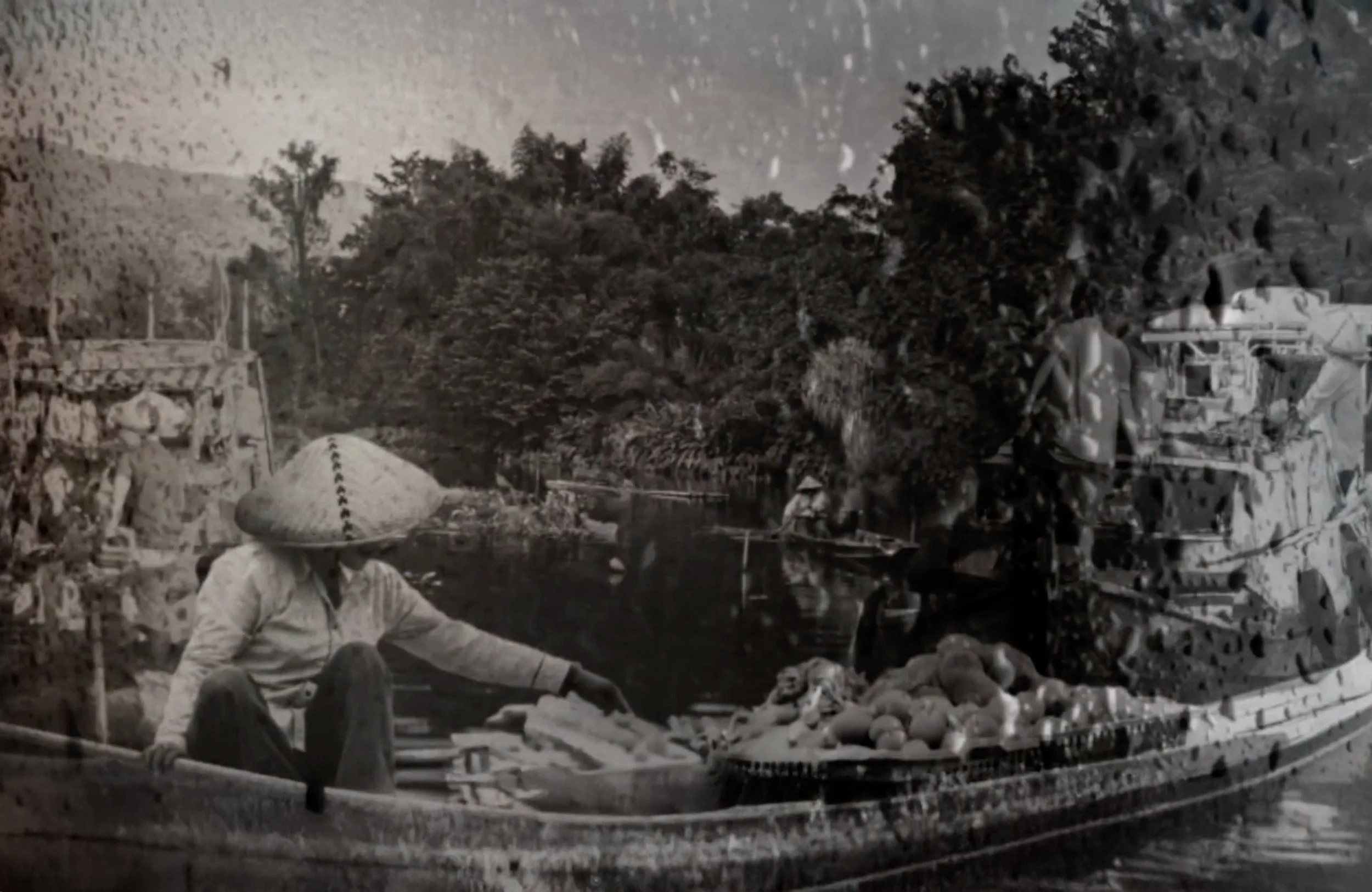 ¿A dónde te lleva una IPL?