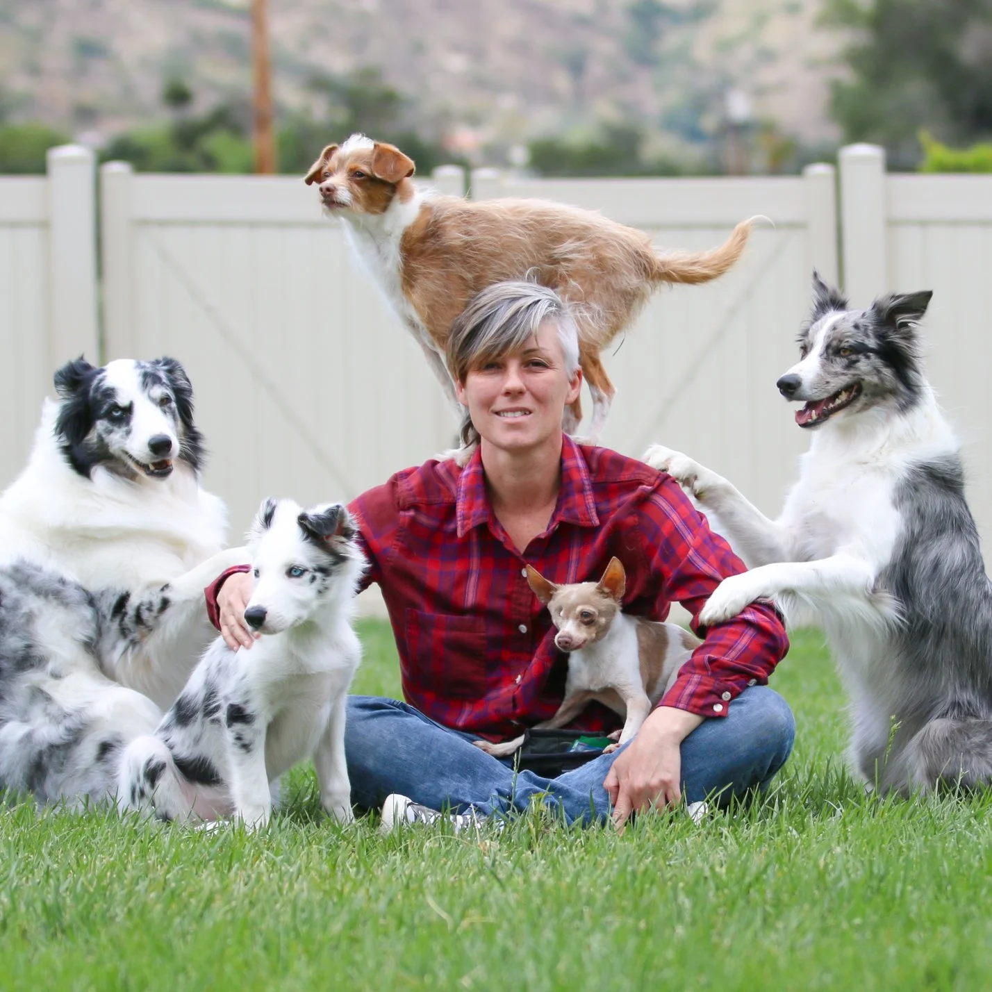 Emily sitting in a grassy hard with five dogs, one is on her back, one in her lap, three by her sides