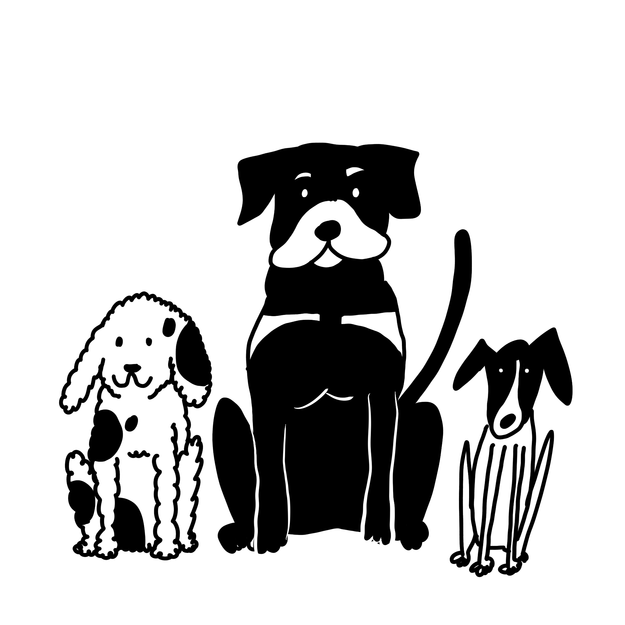 Illustrated spotted poodle, Roottweiler, and Whippet sitting calmly in a line