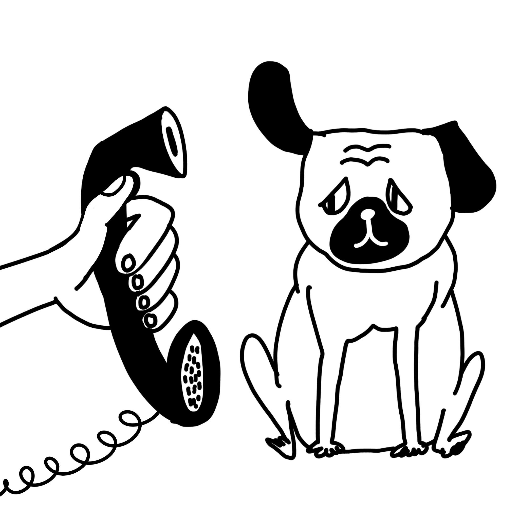 Illustrated pug looking concerned with one ear raised in the direction of a hand holding out an old fashioned telephone
