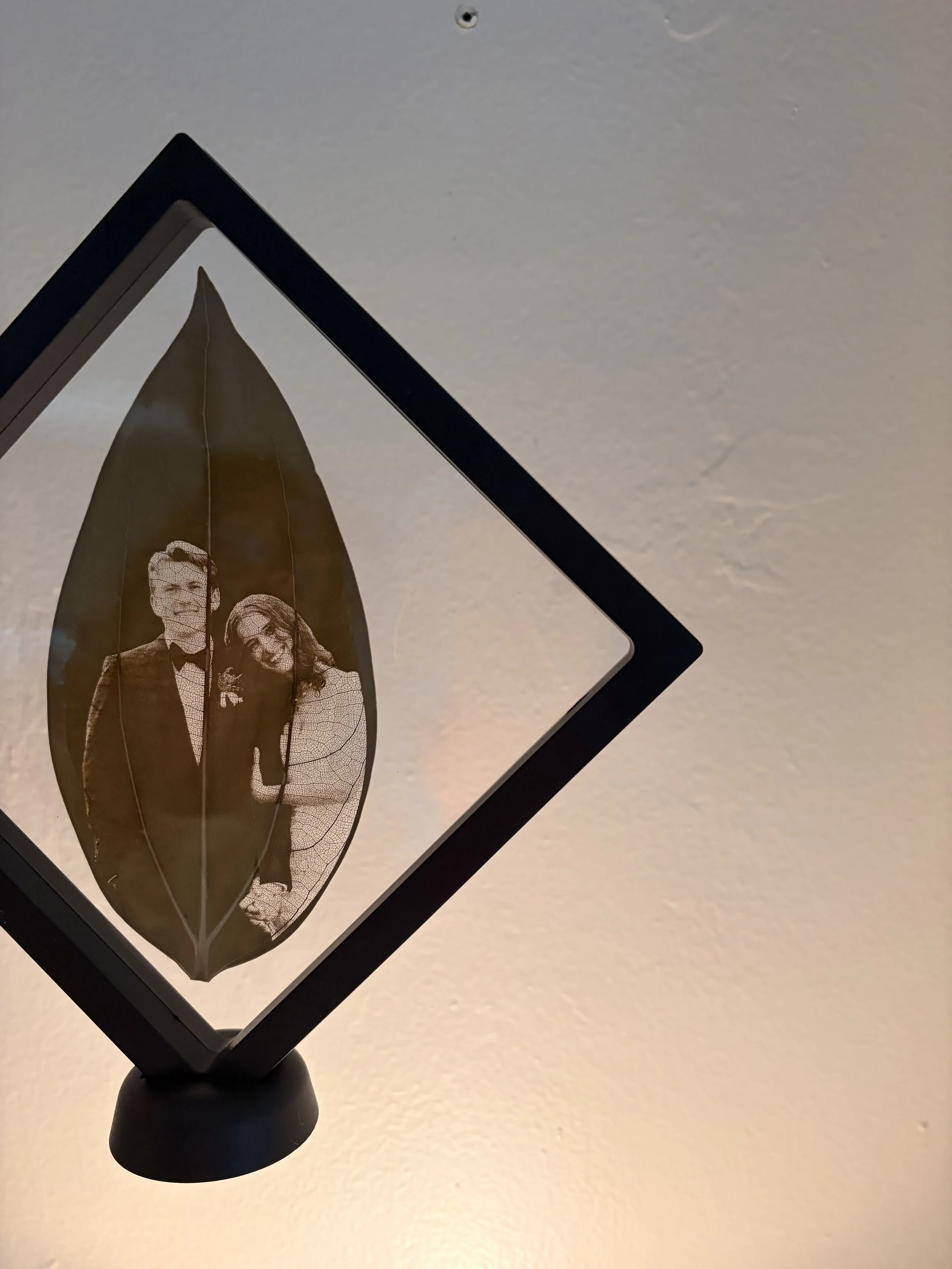Decorative framed silhouette of a wedding couple engraved on large leaf , mounted on a black base