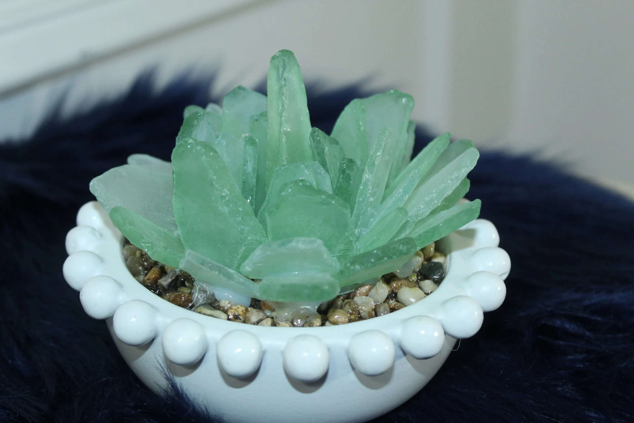 Sea Glass Succulent in White Beaded Planter3.JPG